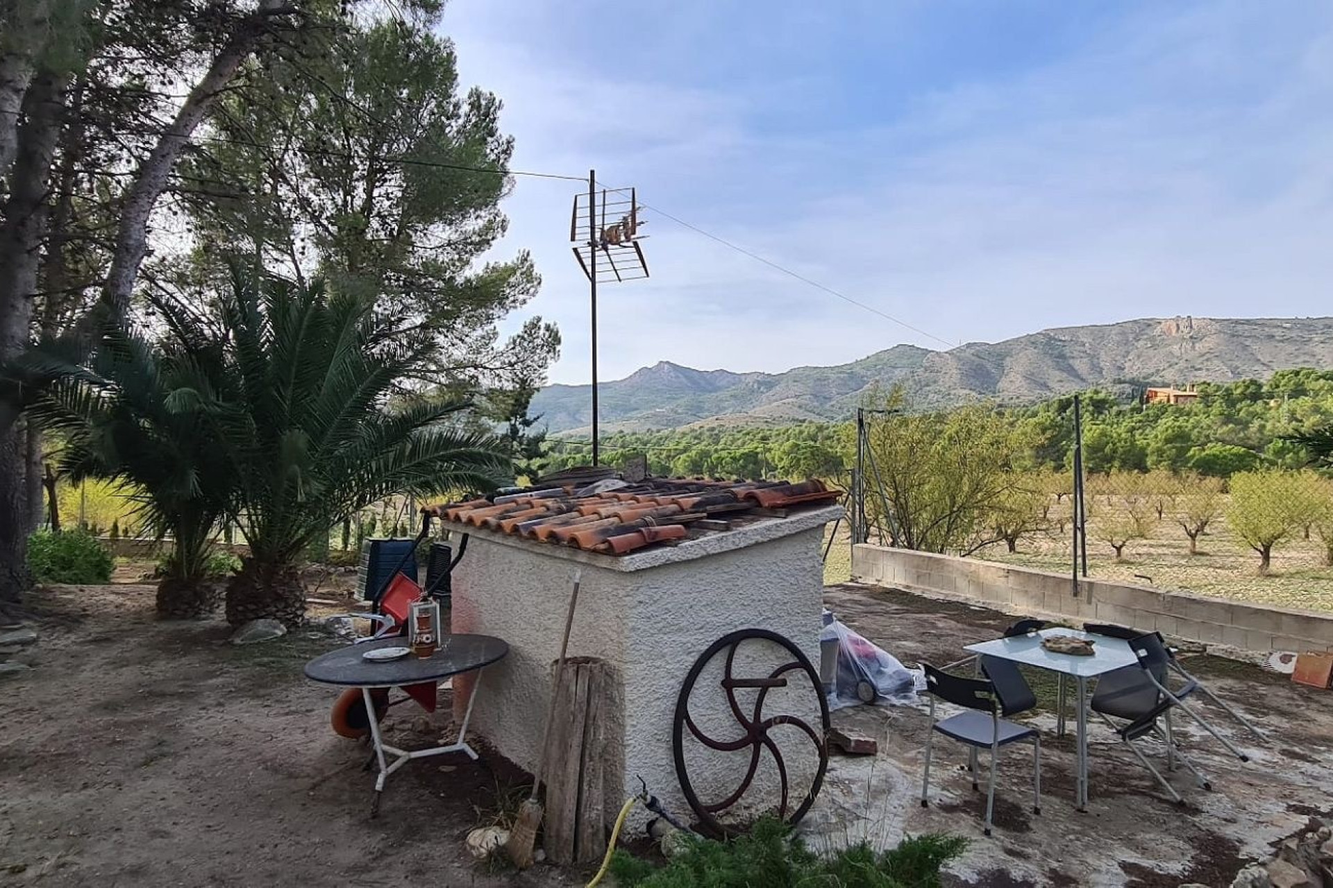 Resale - Finca - Country Property -
Sax
