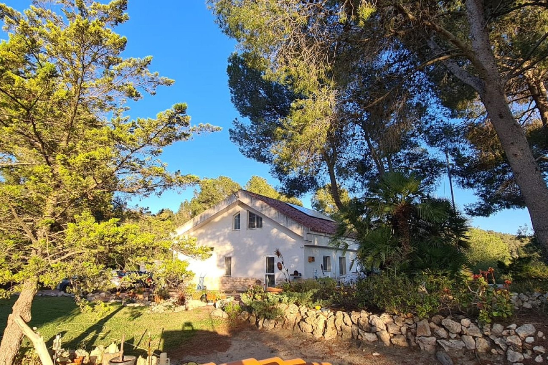 Resale - Finca - Country Property -
Sax