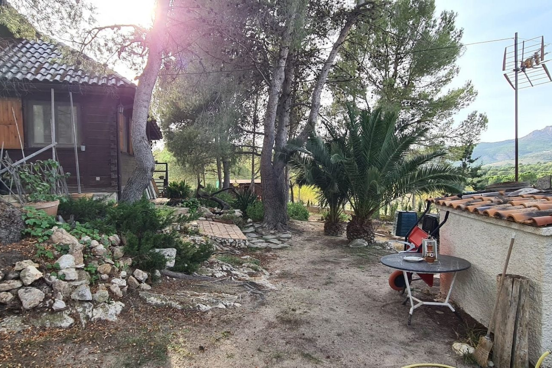 Resale - Finca - Country Property -
Sax