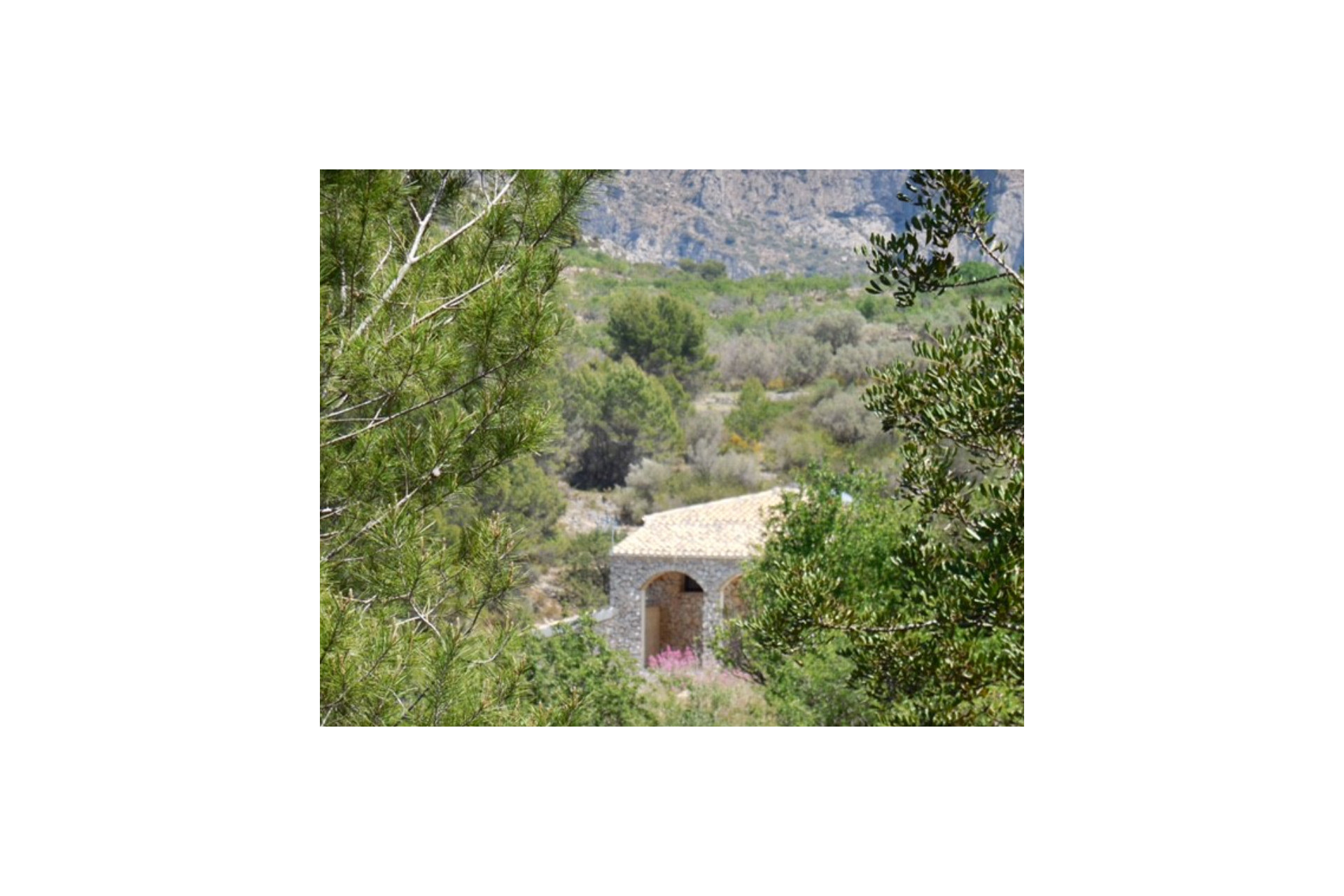 Resale - Finca / Country Property -
Taberna