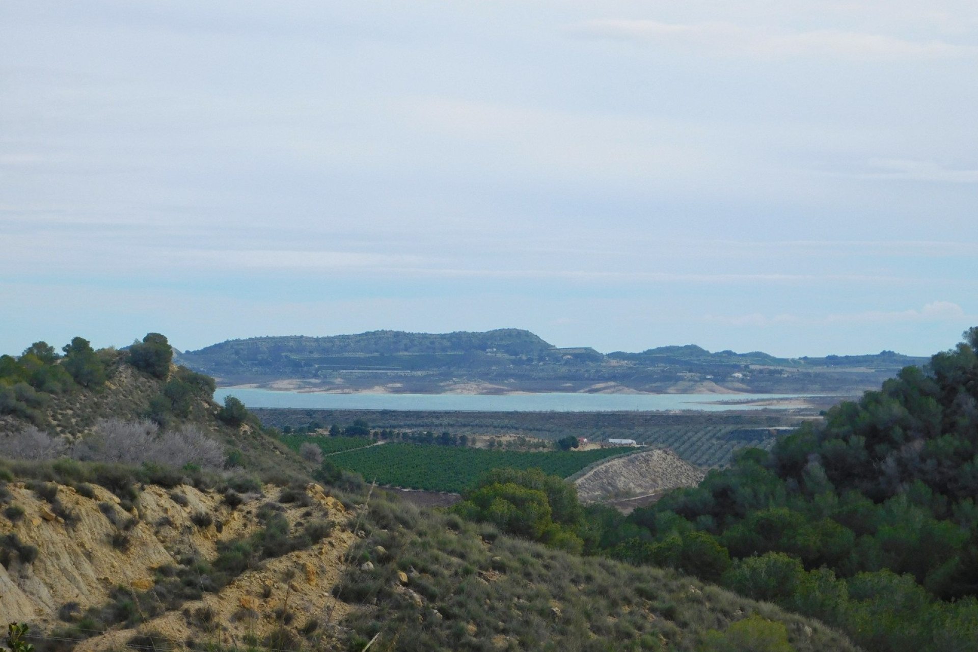 Resale - Finca - Country Property -
Torremendo