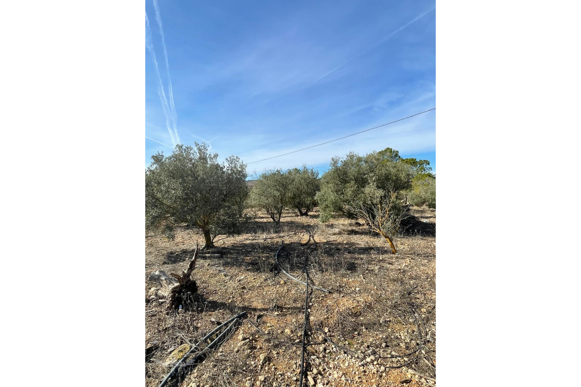 Resale - Finca / Country Property -
&Uacute;beda - &Uacute;beda Alicante