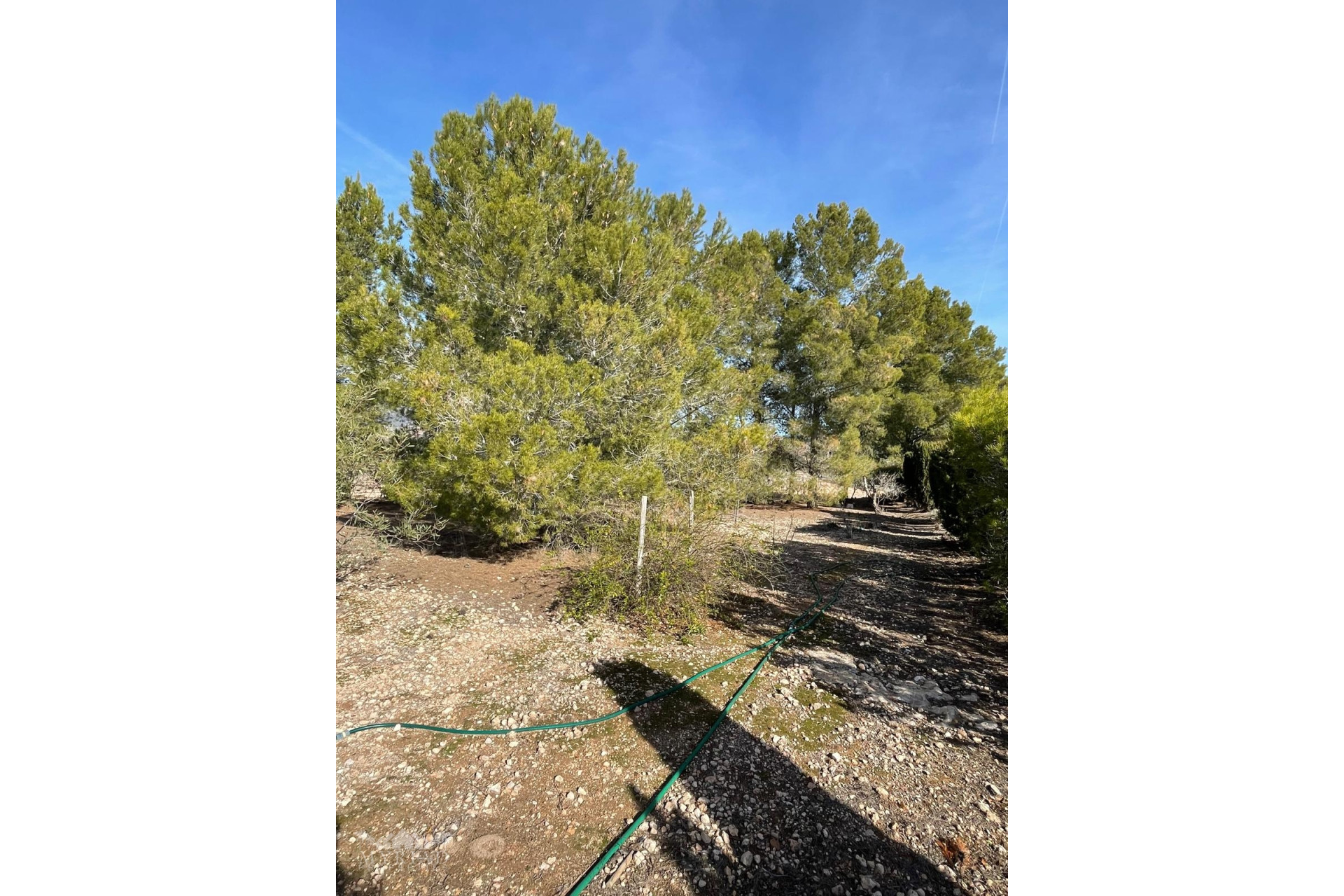 Resale - Finca / Country Property -
&Uacute;beda - &Uacute;beda Alicante