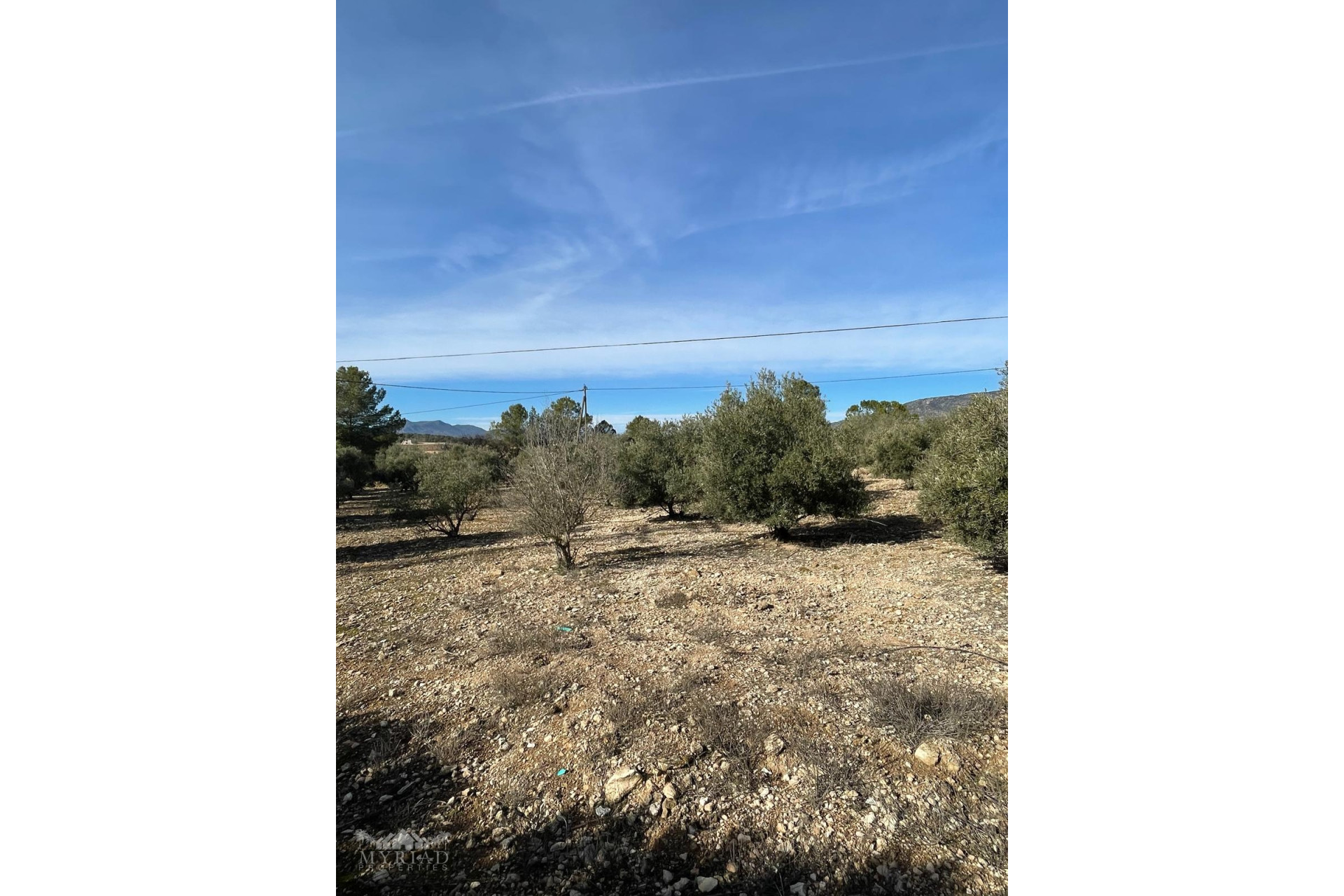 Resale - Finca / Country Property -
&Uacute;beda - &Uacute;beda Alicante