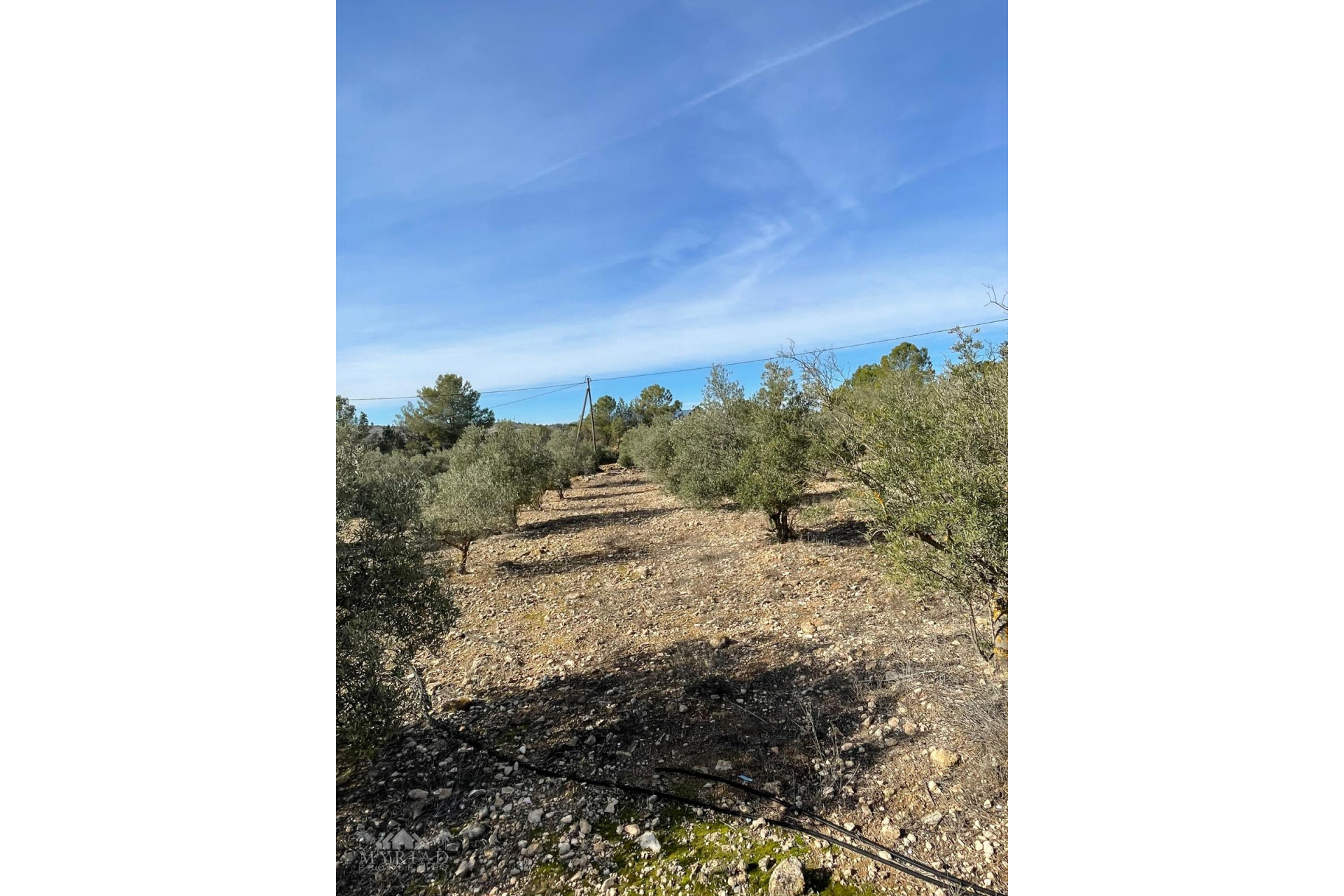 Resale - Finca / Country Property -
&Uacute;beda - &Uacute;beda Alicante