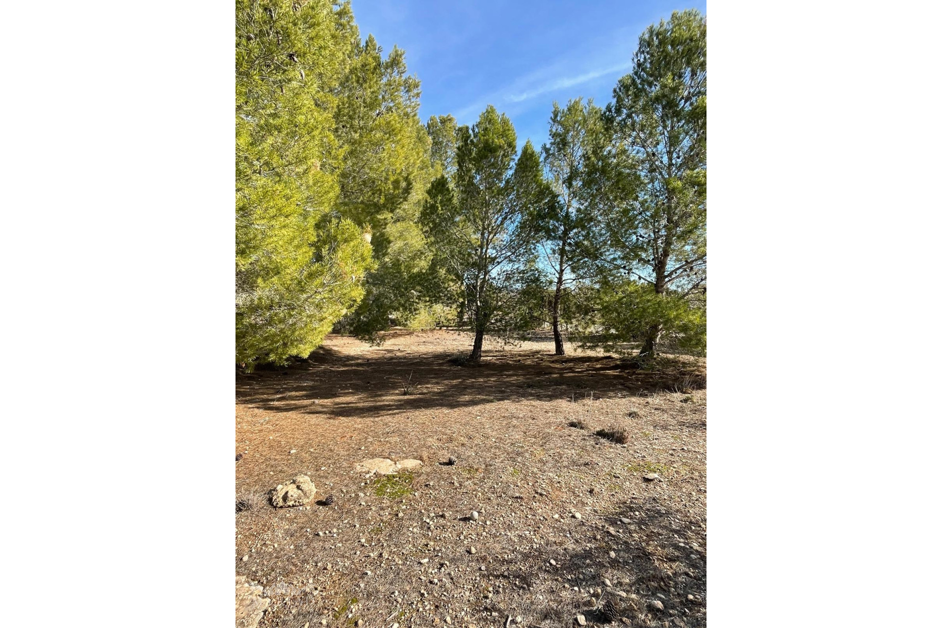 Resale - Finca / Country Property -
&Uacute;beda - &Uacute;beda Alicante