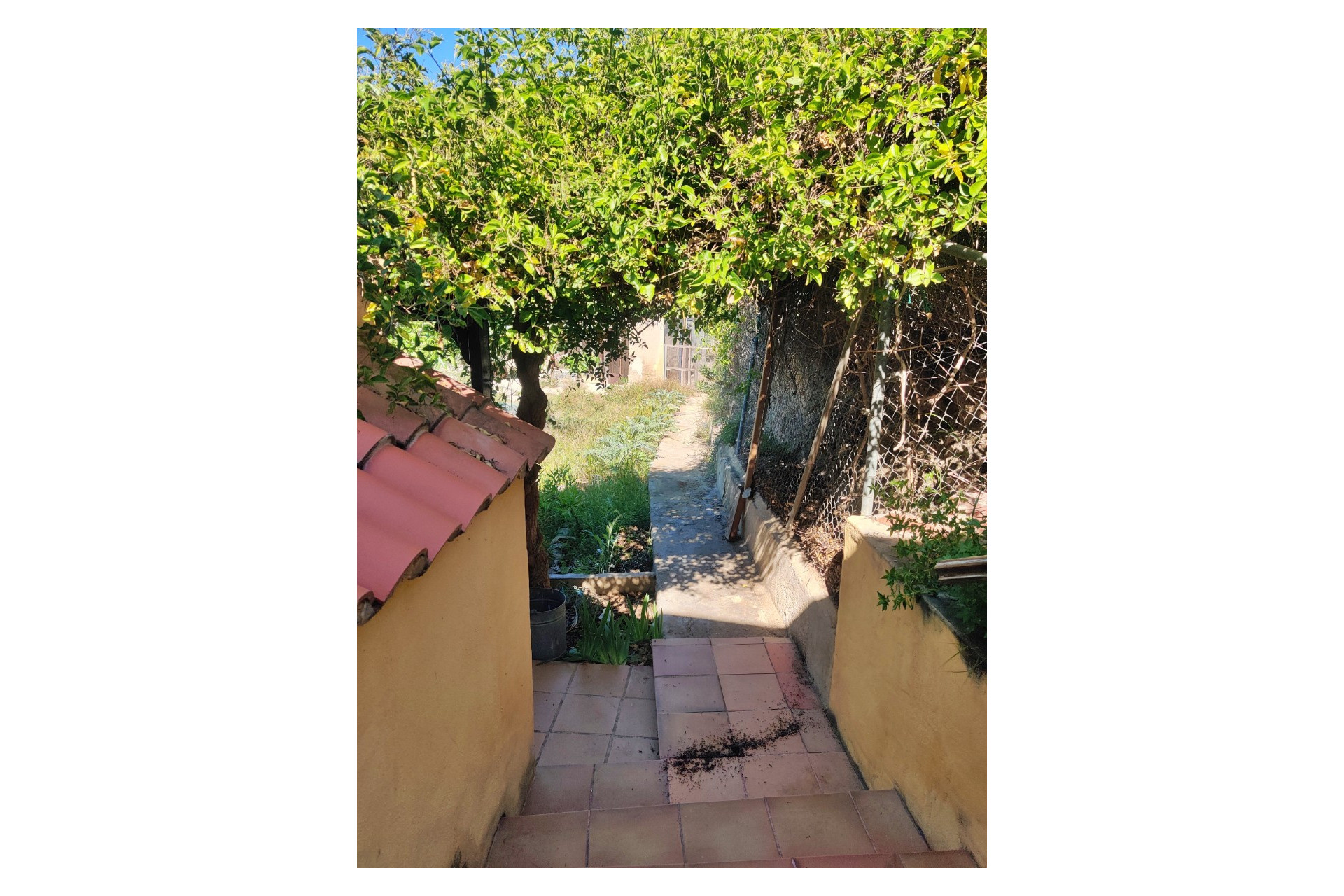 Resale - Finca / Country Property -
Villajoyosa