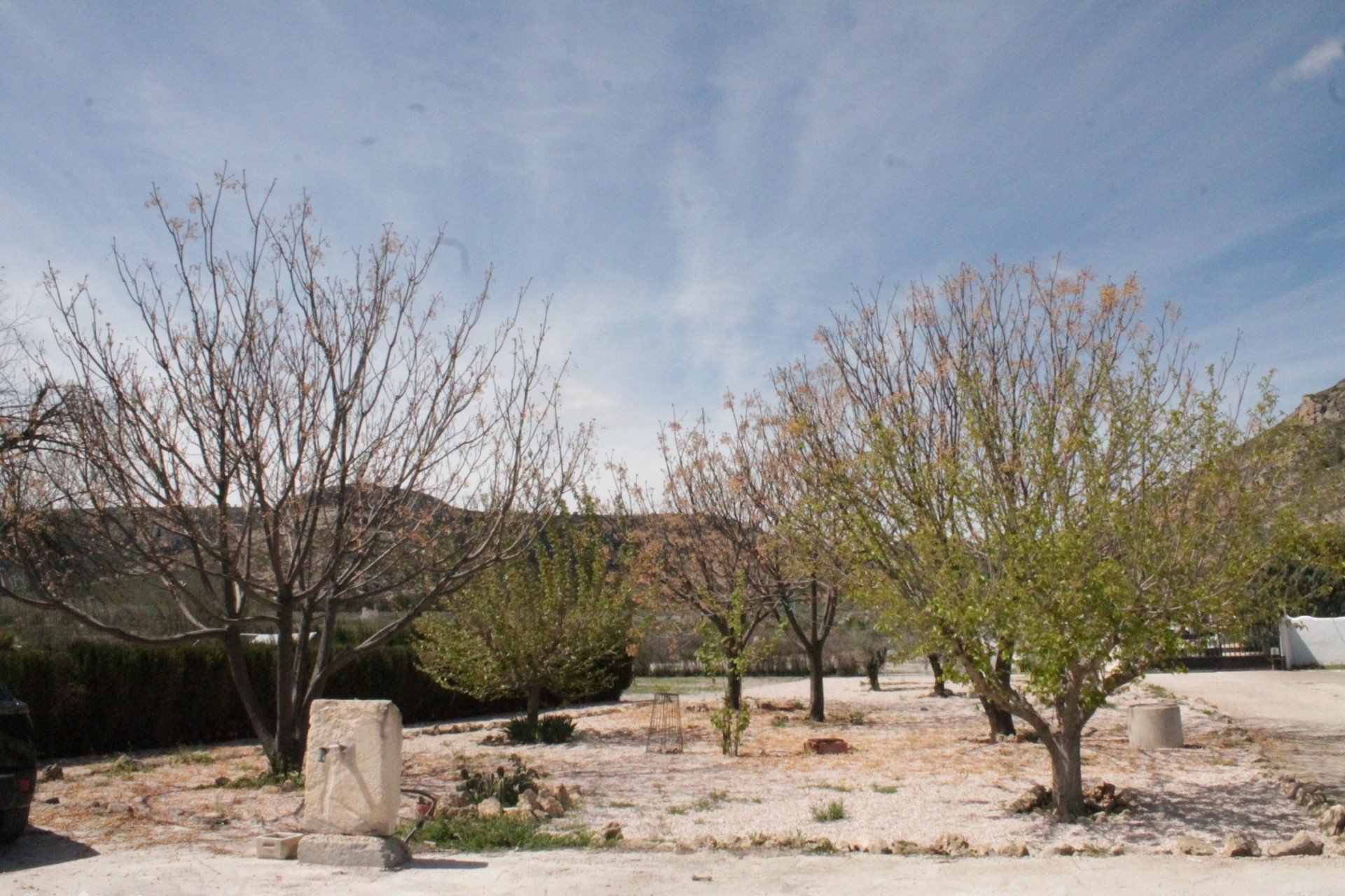 Resale - Finca / Country Property -
Villena - Villena Alicante