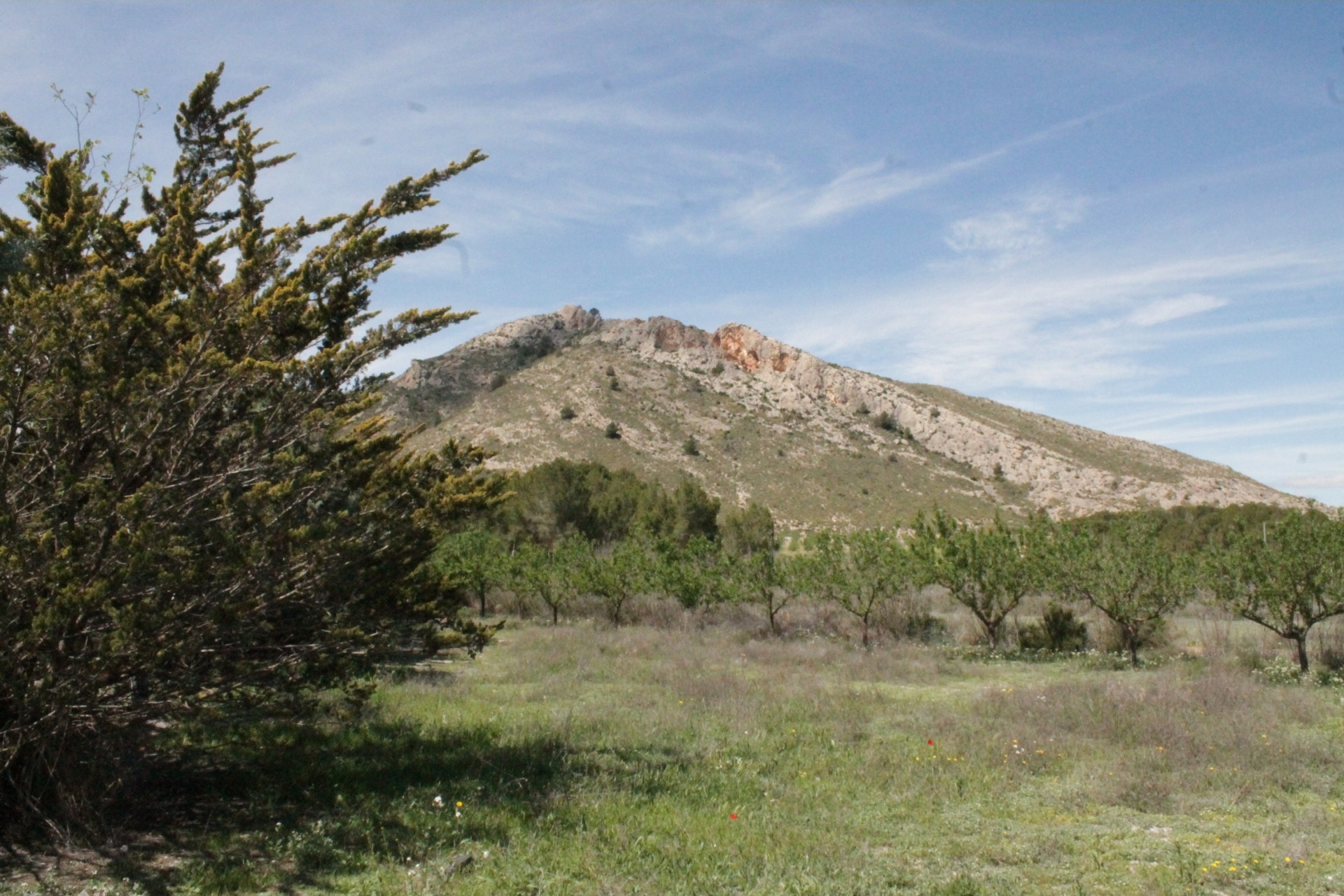 Resale - Finca / Country Property -
Villena - Villena Alicante