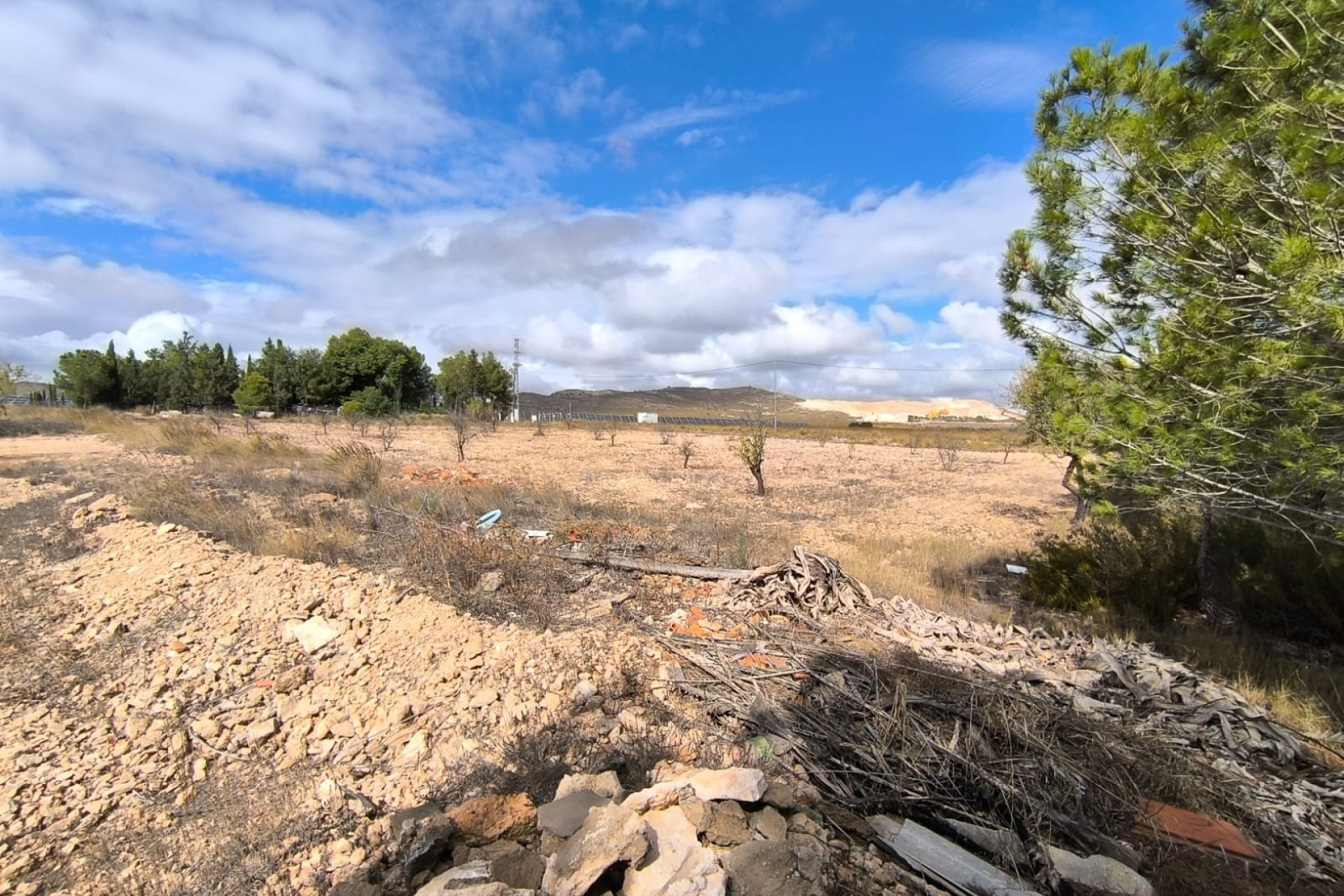 Resale - Finca - Country Property -
Yecla - Inland