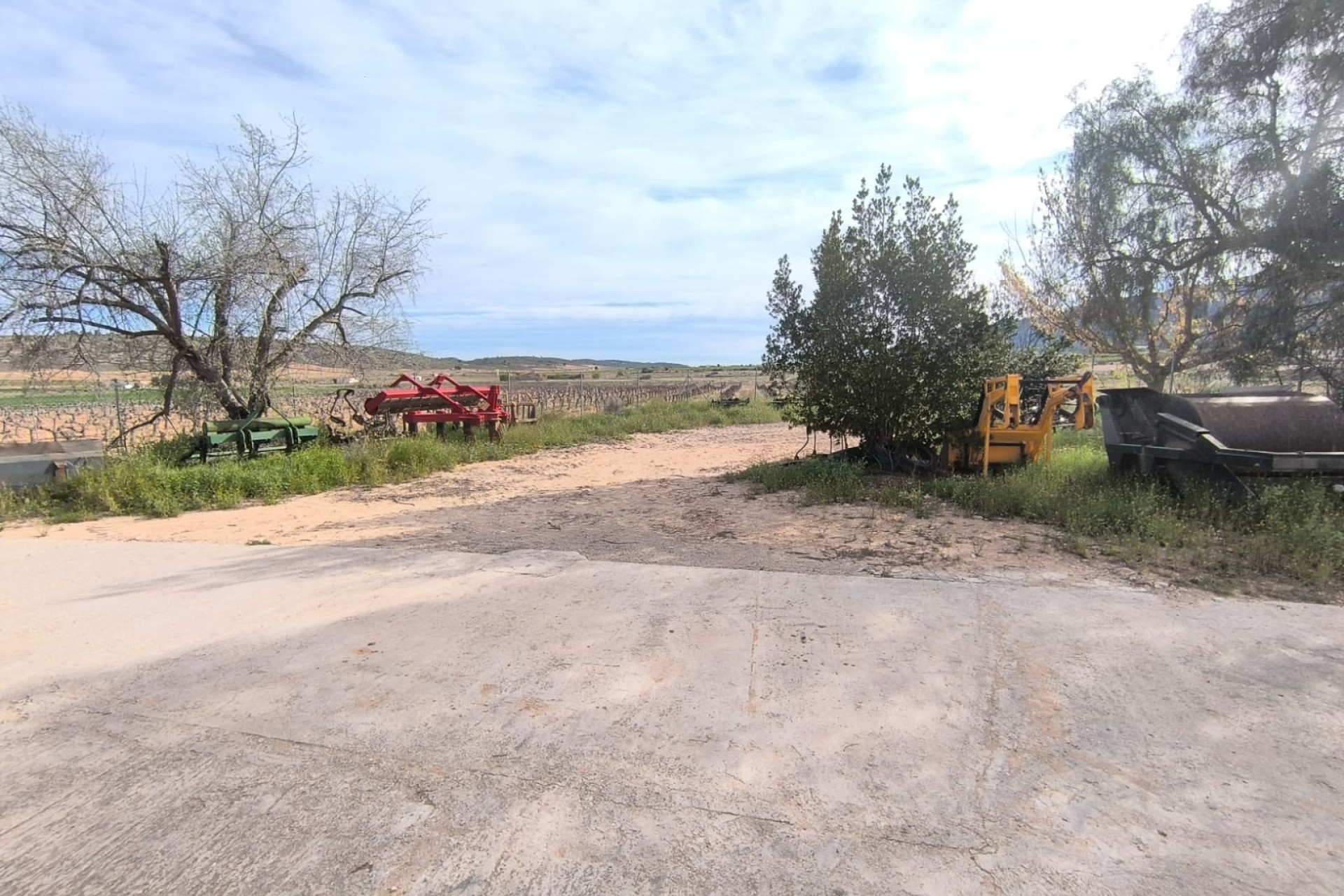 Resale - Finca / Country Property -
Yecla