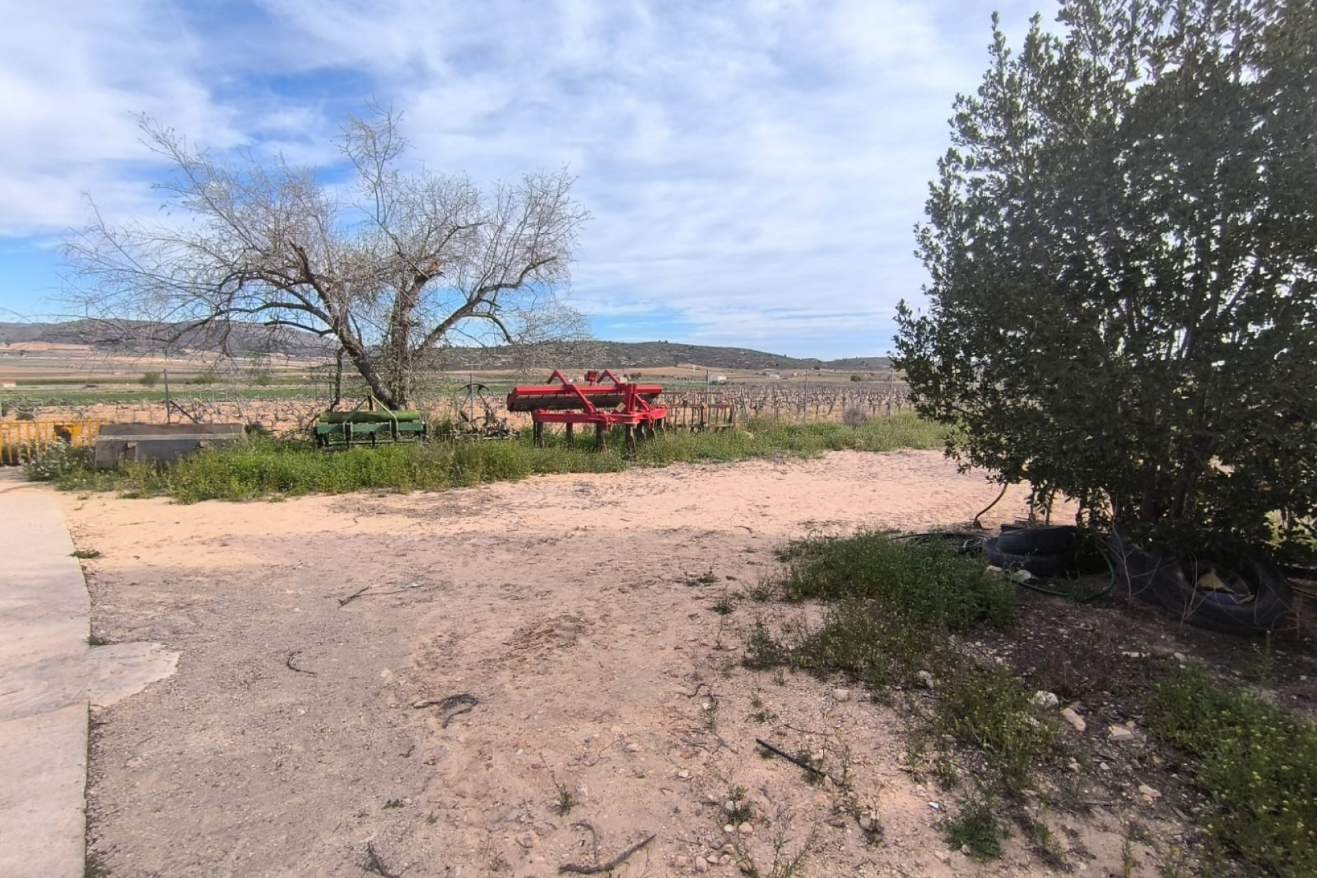 Resale - Finca / Country Property -
Yecla