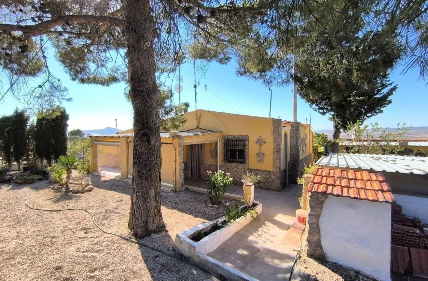 Resale - Finca / Country Property -
Yecla