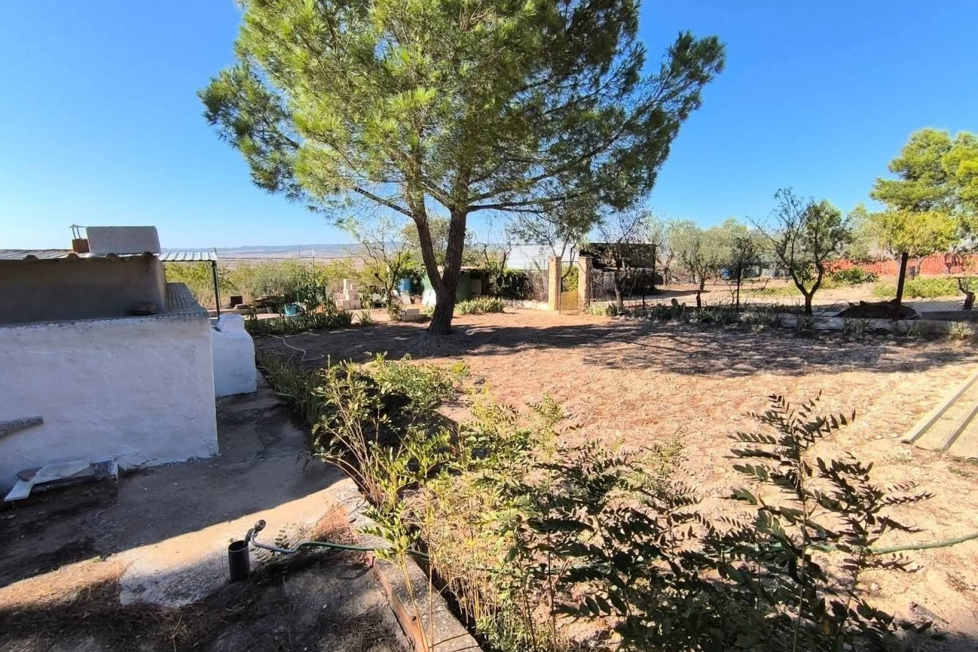 Resale - Finca / Country Property -
Yecla