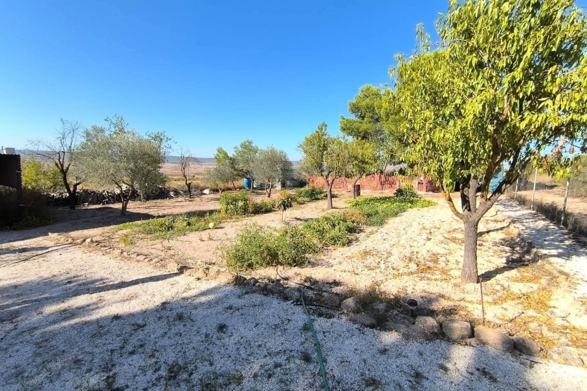 Resale - Finca / Country Property -
Yecla