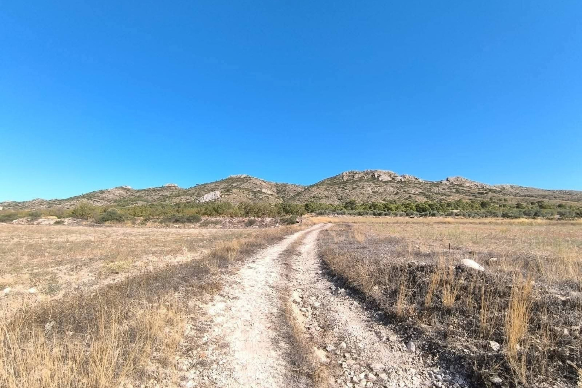 Resale - Finca / Country Property -
Yecla