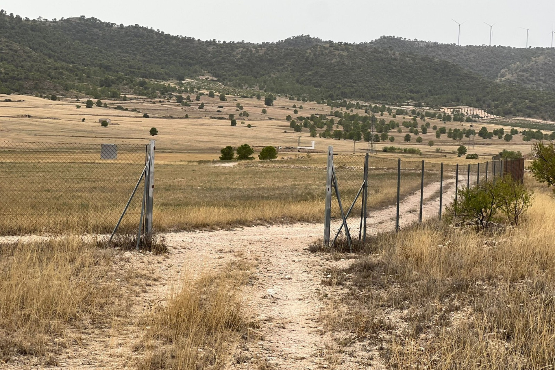 Resale - Finca / Country Property -
Yecla