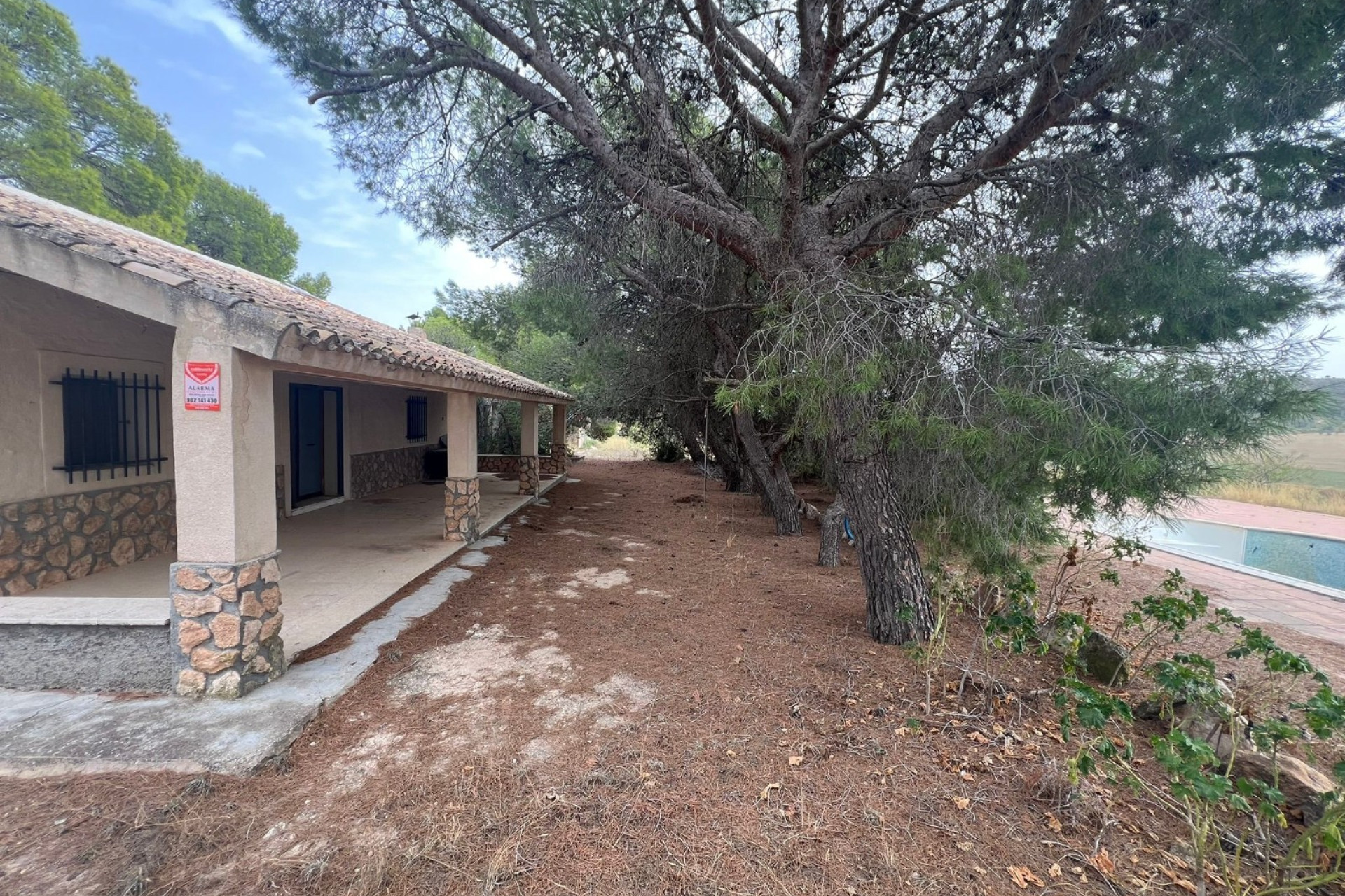 Resale - Finca / Country Property -
Yecla