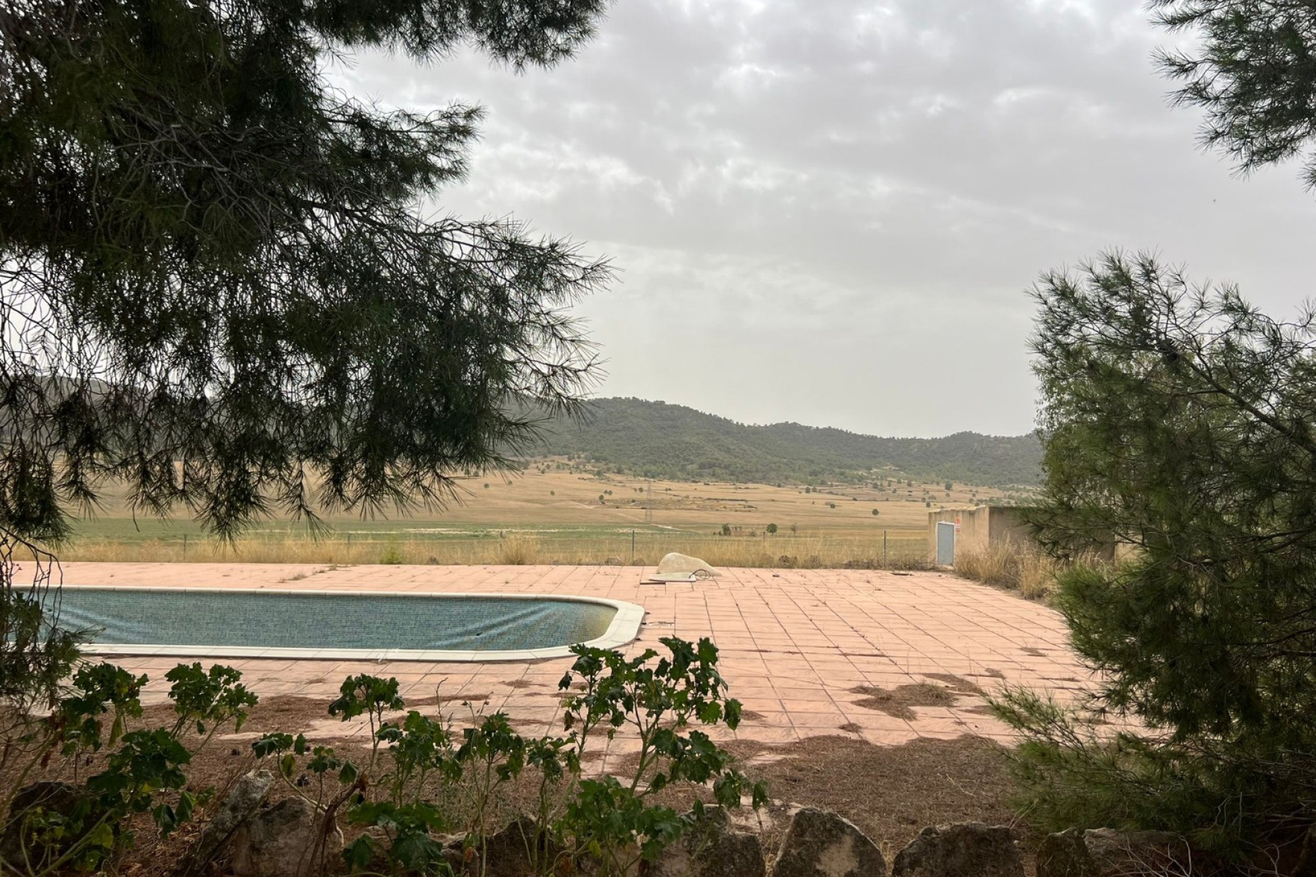 Resale - Finca / Country Property -
Yecla