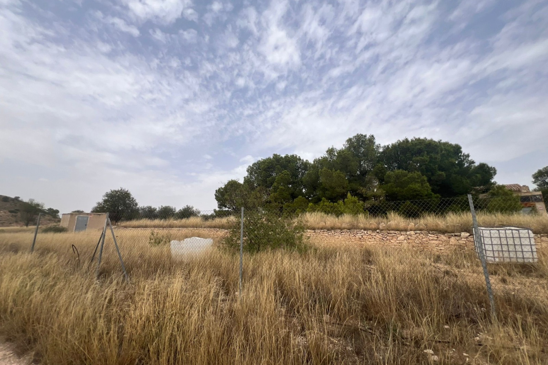 Resale - Finca / Country Property -
Yecla