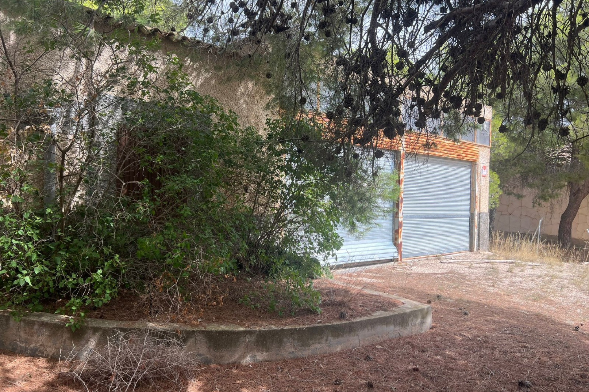 Resale - Finca / Country Property -
Yecla