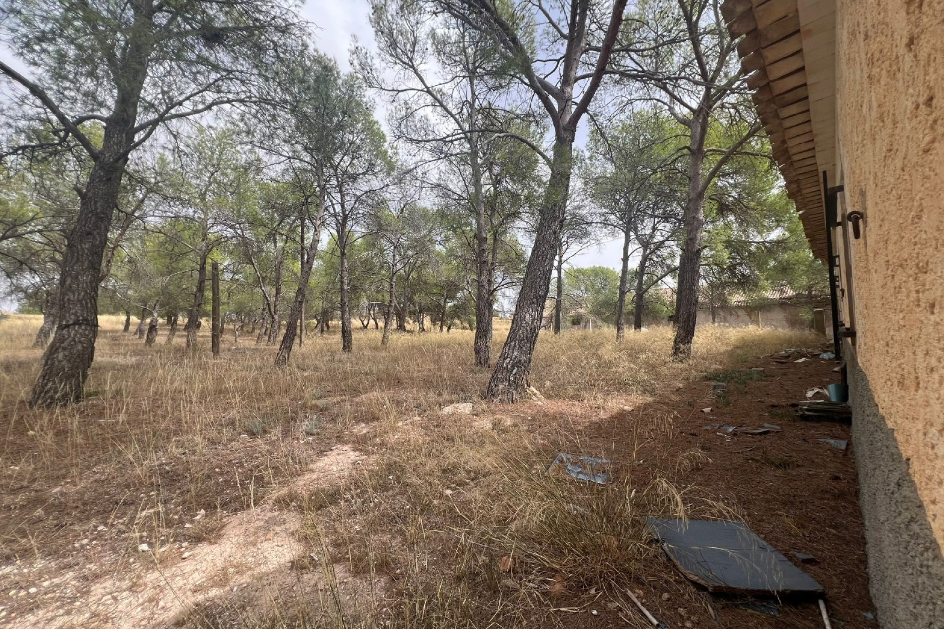 Resale - Finca / Country Property -
Yecla