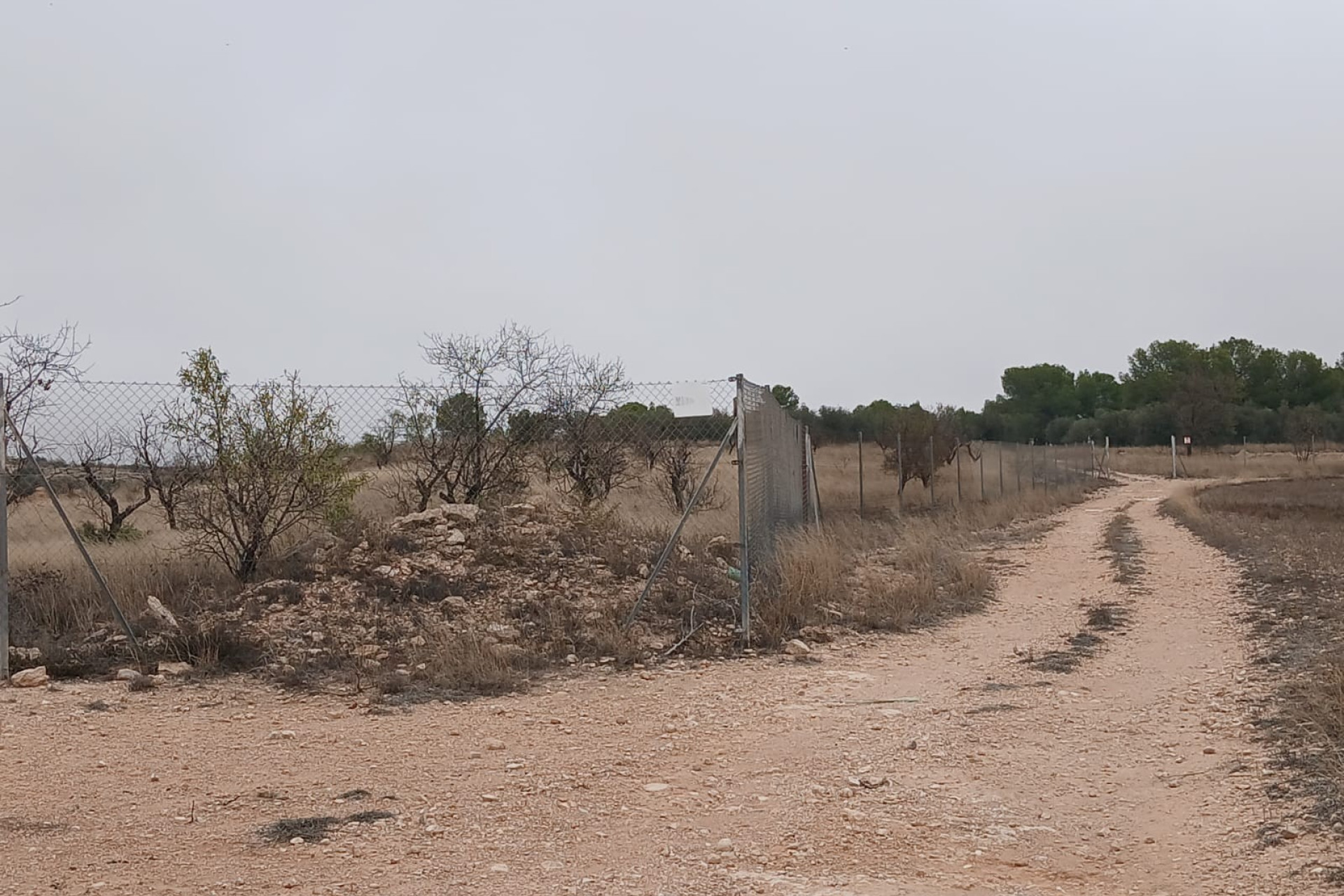 Resale - Finca / Country Property -
Yecla