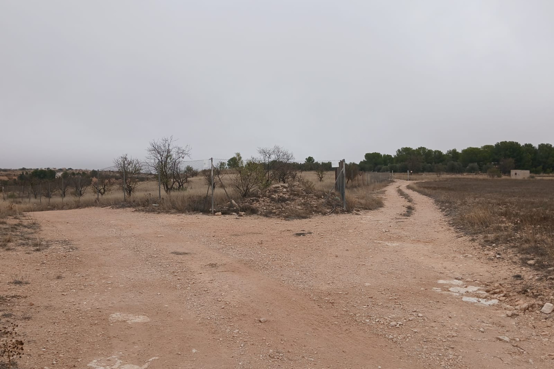 Resale - Finca / Country Property -
Yecla