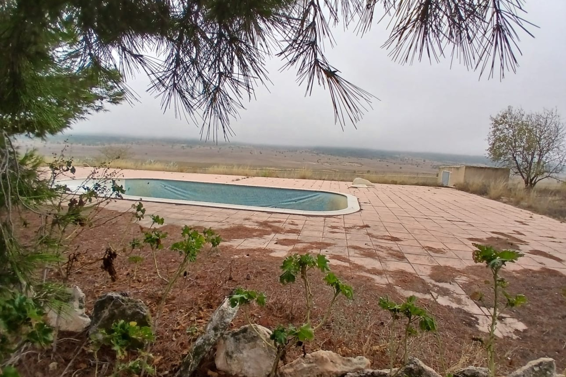 Resale - Finca / Country Property -
Yecla