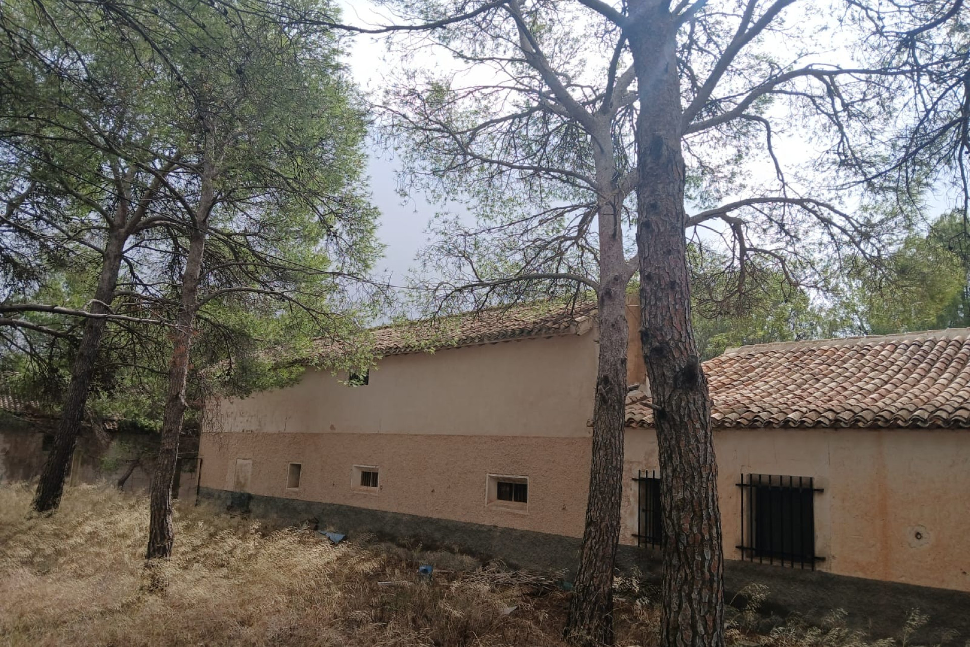 Resale - Finca / Country Property -
Yecla