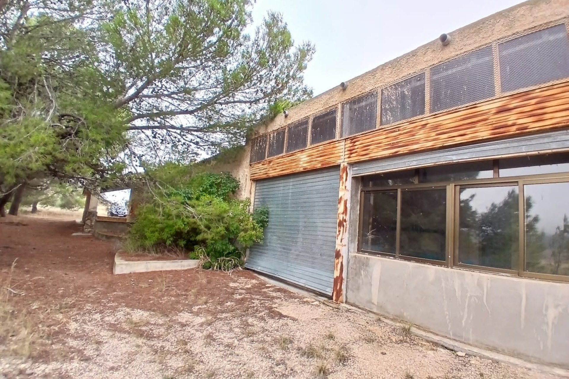 Resale - Finca / Country Property -
Yecla