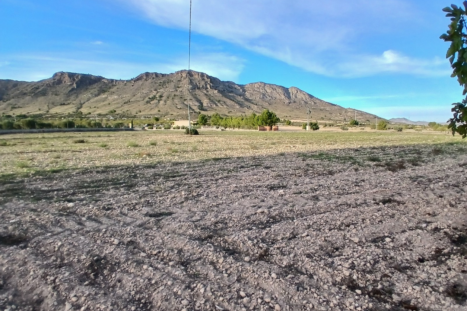 Resale - Finca / Country Property -
Yecla