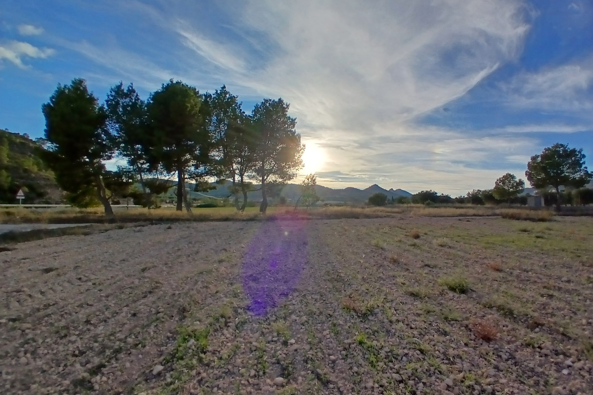 Resale - Finca / Country Property -
Yecla