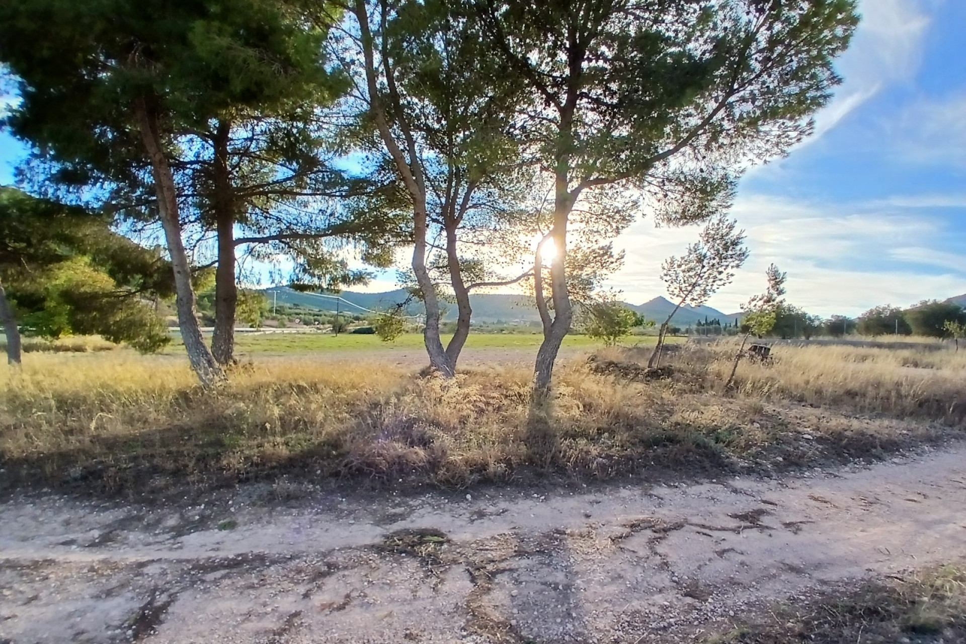 Resale - Finca / Country Property -
Yecla