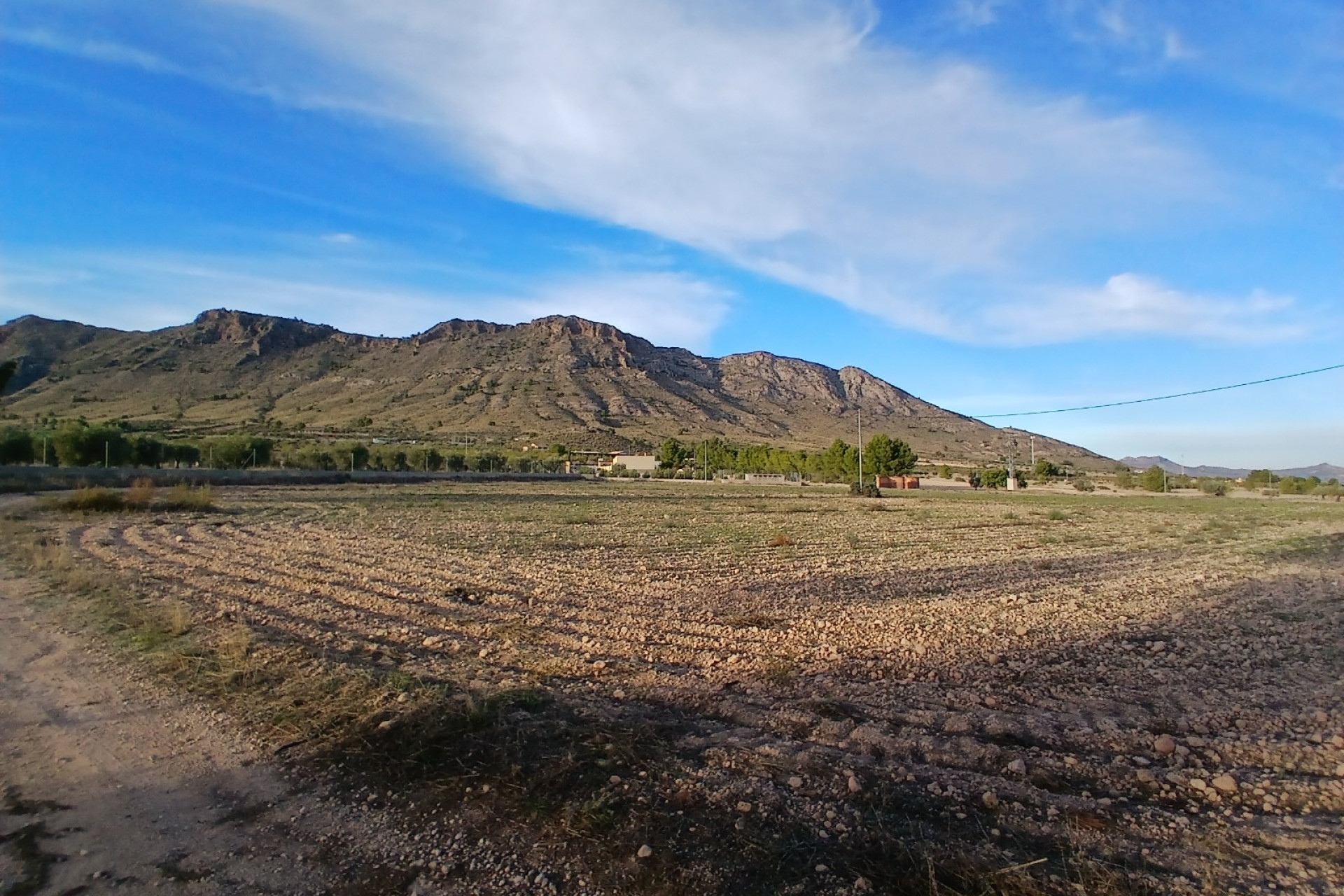 Resale - Finca / Country Property -
Yecla