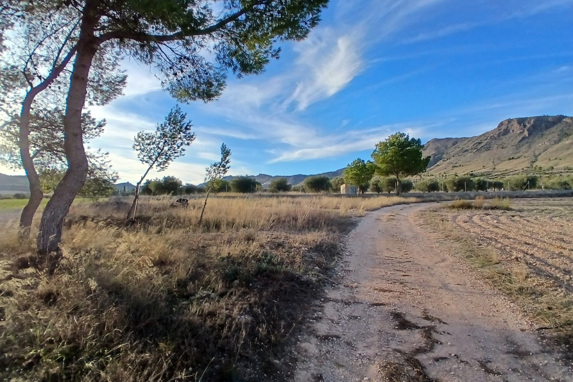 Resale - Finca / Country Property -
Yecla