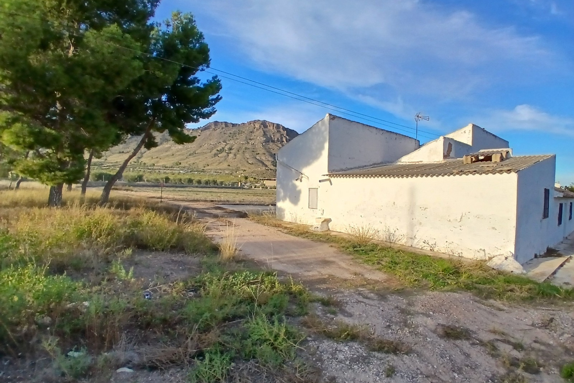 Resale - Finca / Country Property -
Yecla