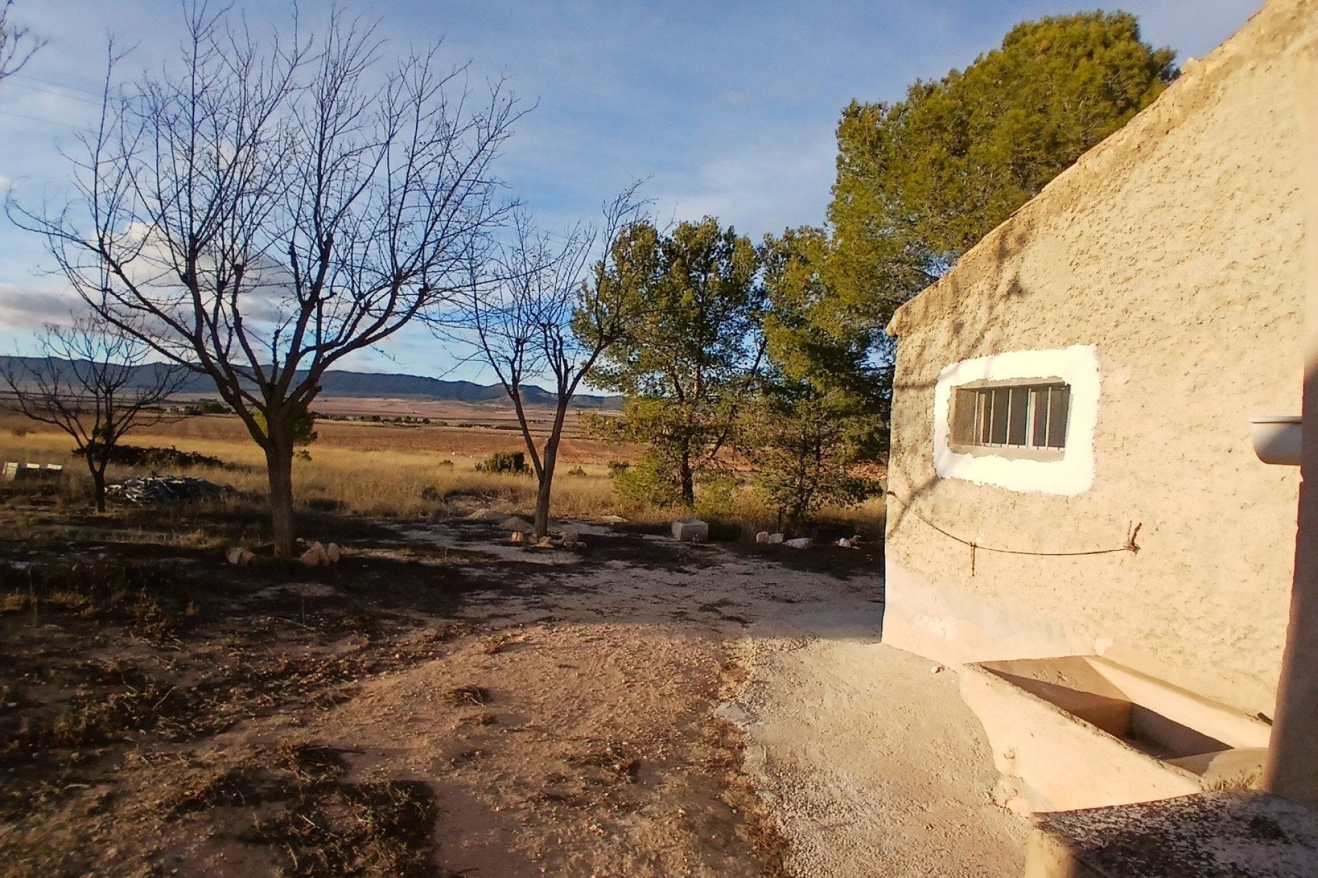 Resale - Finca / Country Property -
Yecla