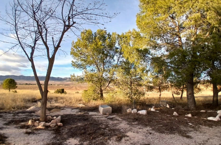 Resale - Finca / Country Property -
Yecla