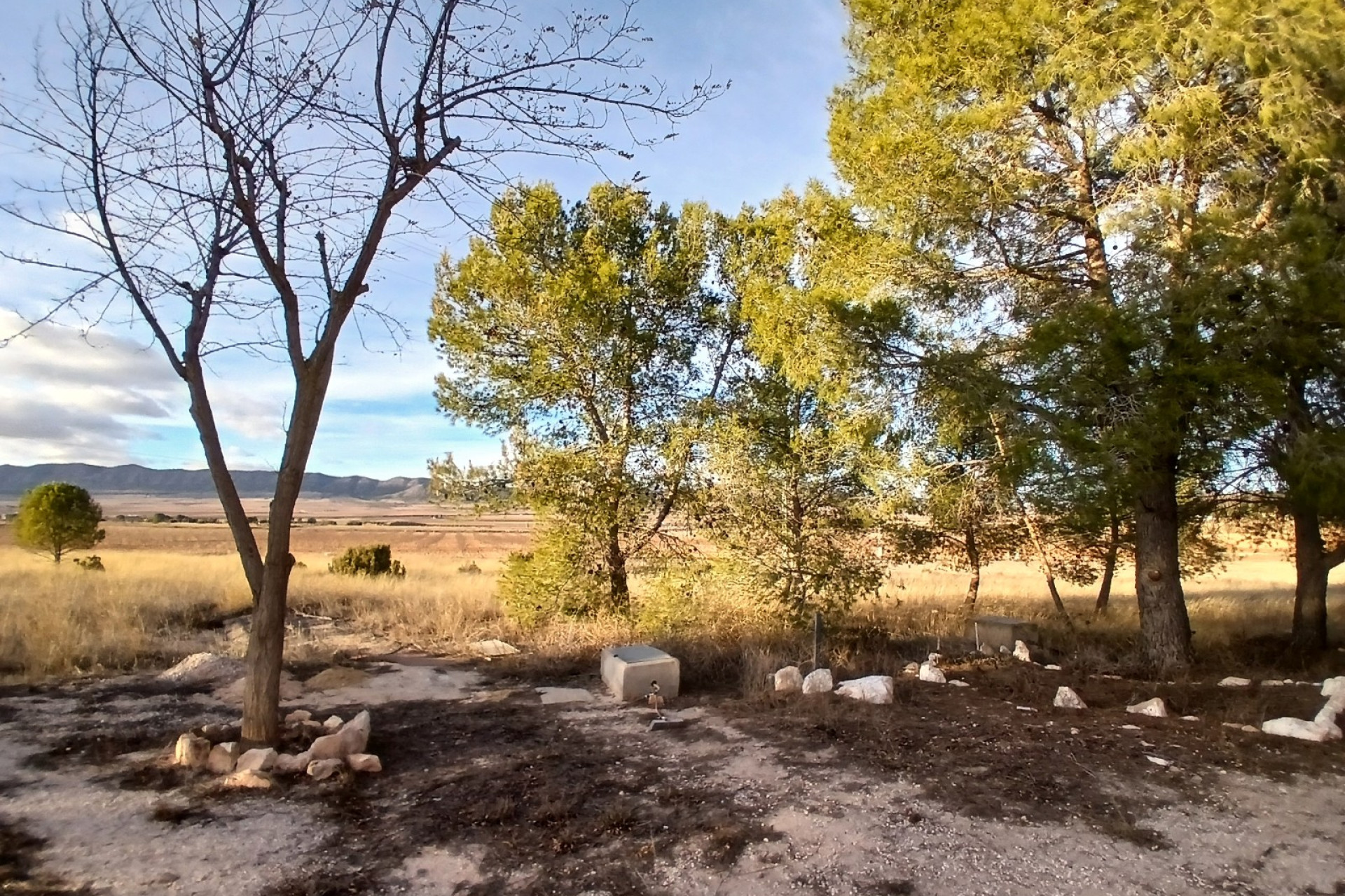 Resale - Finca / Country Property -
Yecla