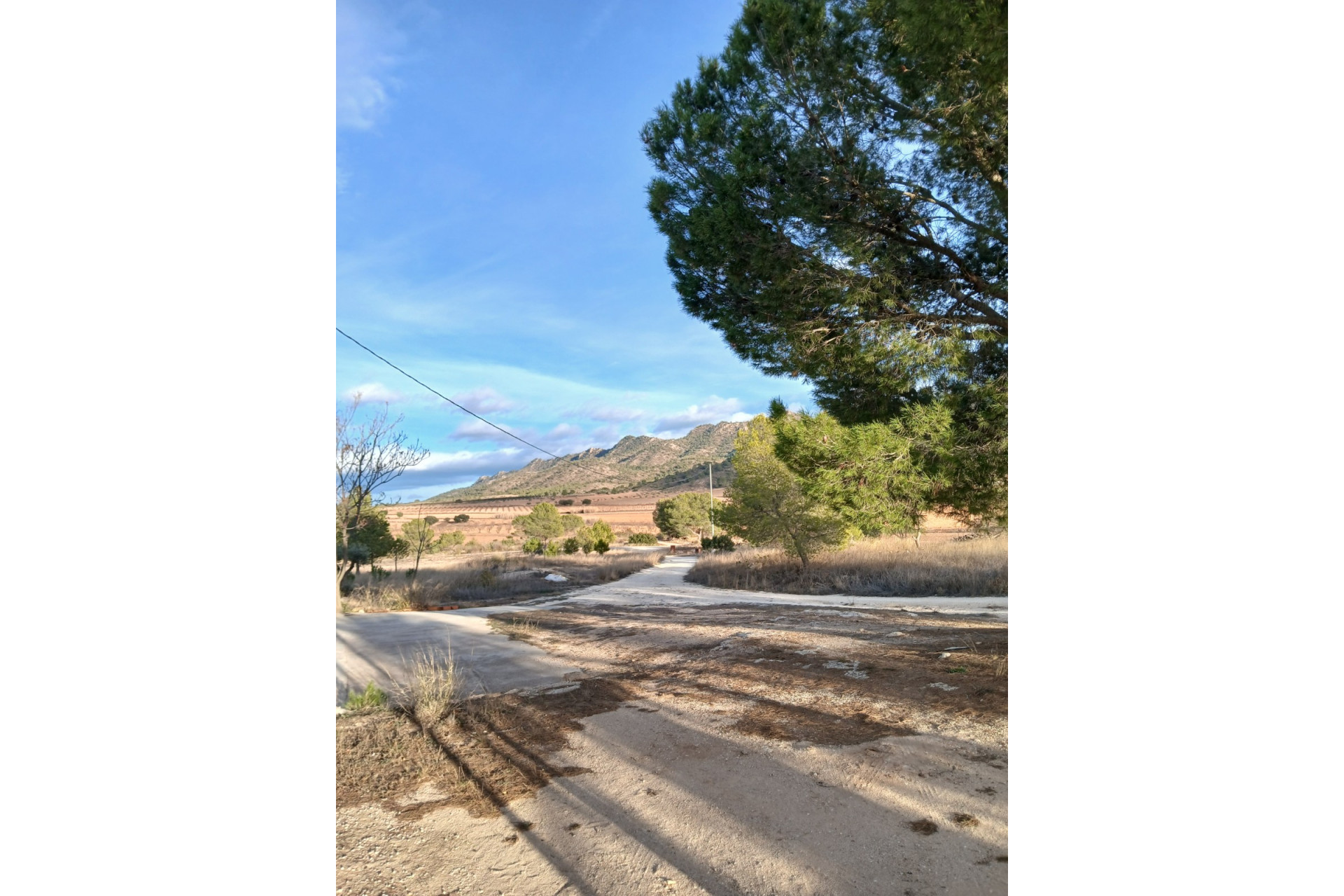 Resale - Finca / Country Property -
Yecla