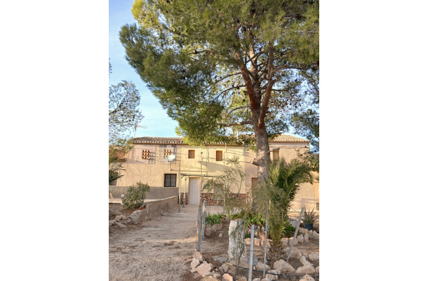 Resale - Finca / Country Property -
Yecla