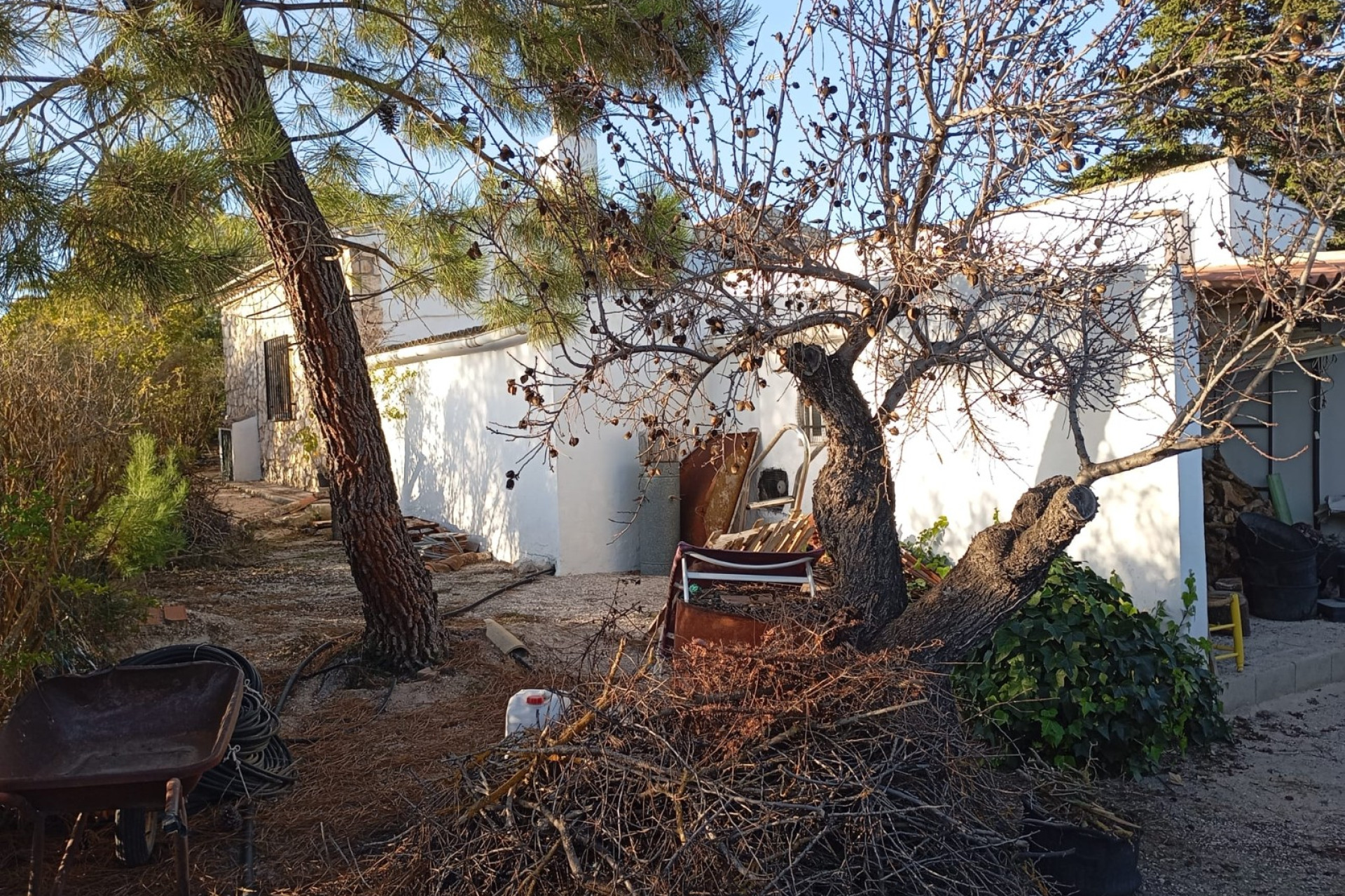 Resale - Finca / Country Property -
Yecla