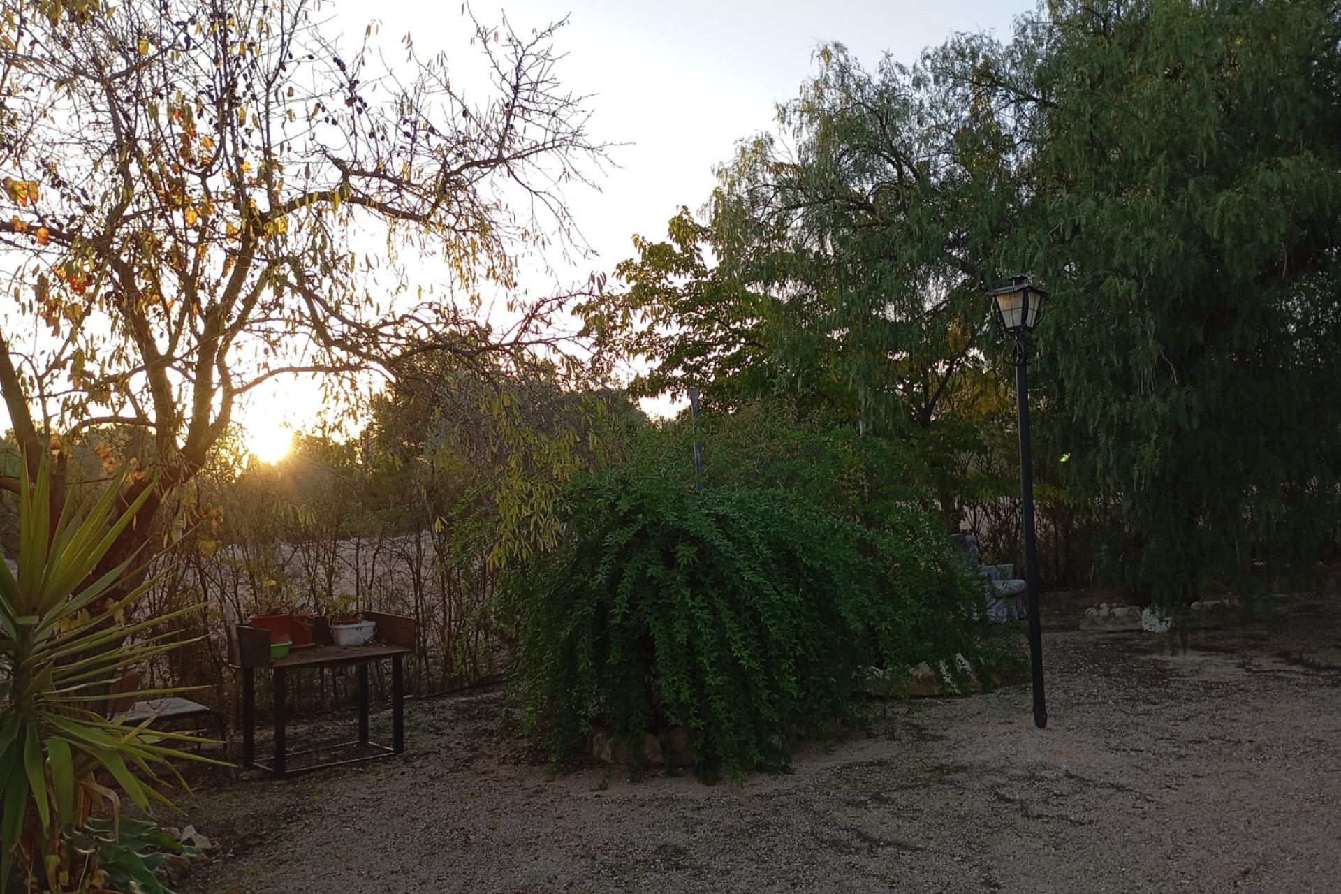 Resale - Finca / Country Property -
Yecla