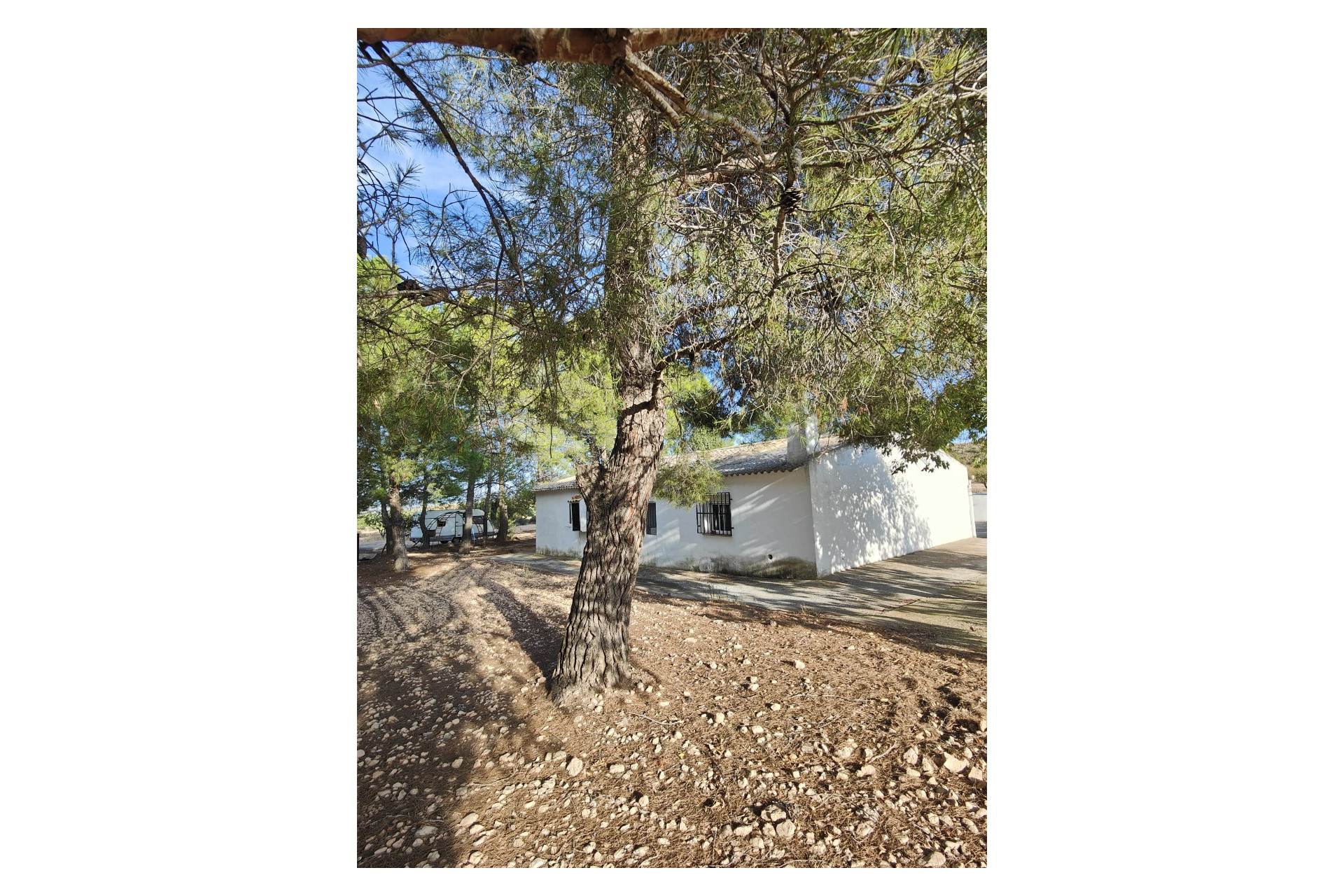 Resale - Finca / Country Property -
Yecla