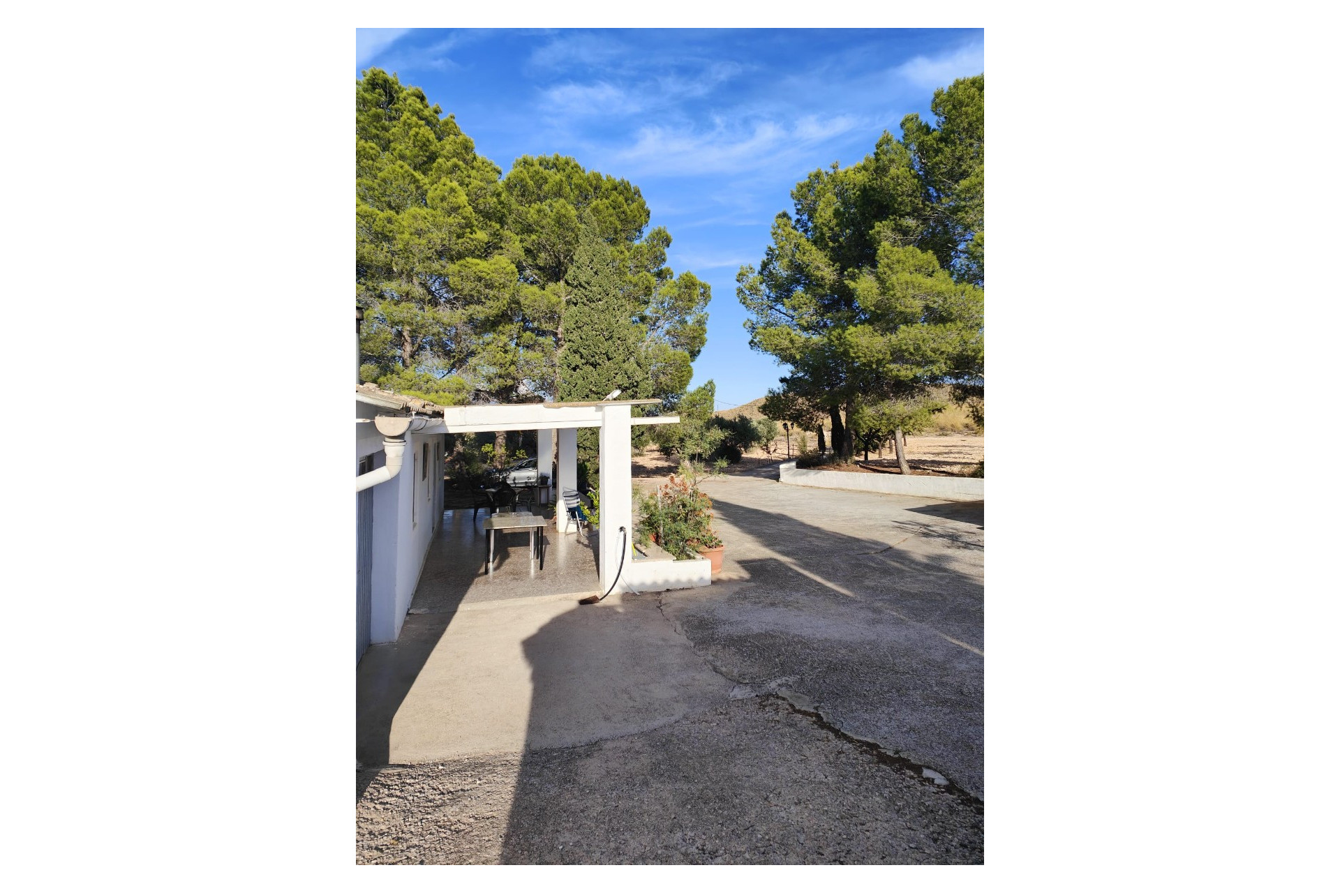 Resale - Finca / Country Property -
Yecla