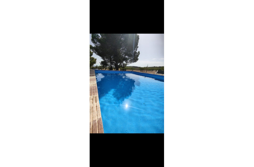 Resale - Finca / Country Property -
Yecla