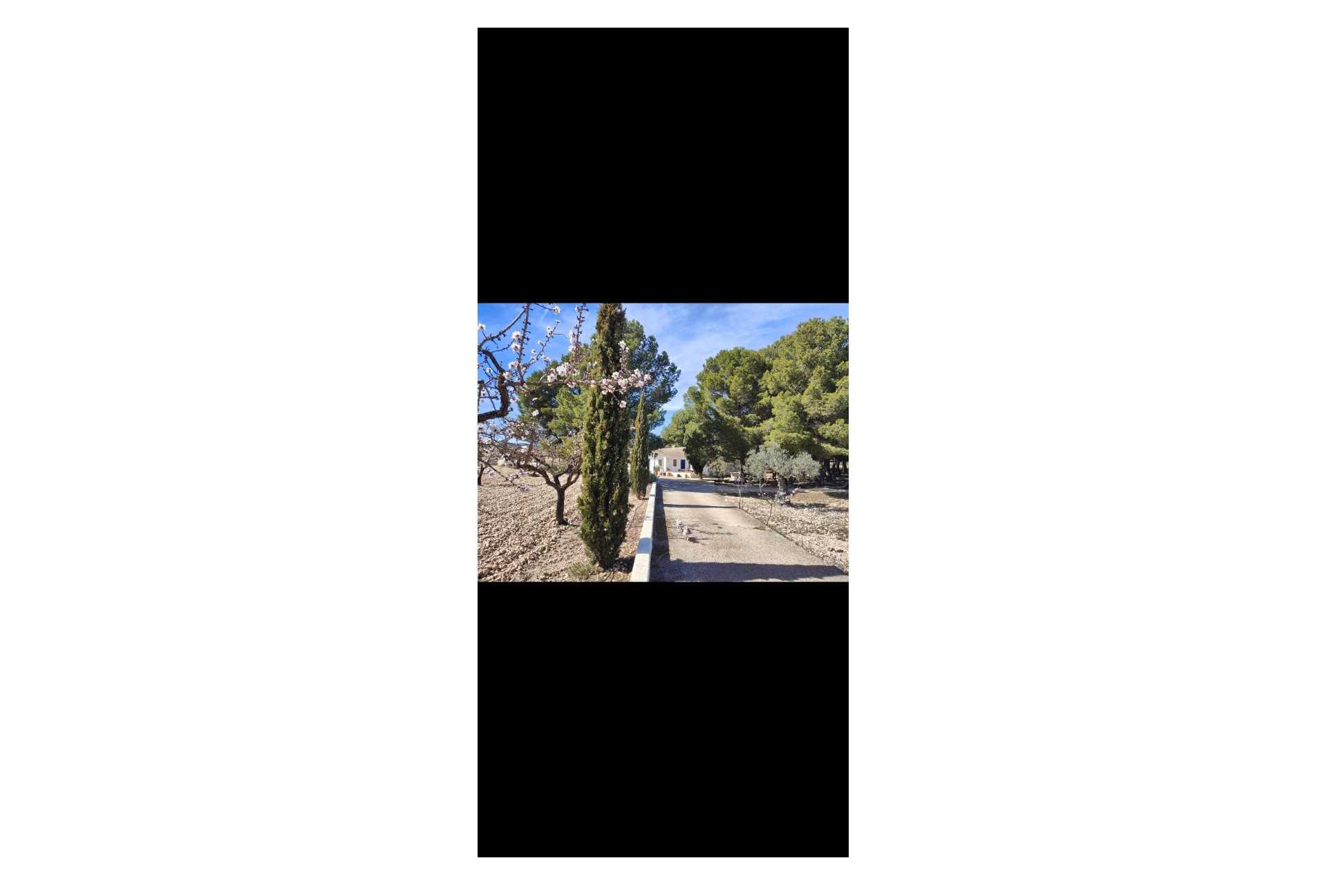 Resale - Finca / Country Property -
Yecla