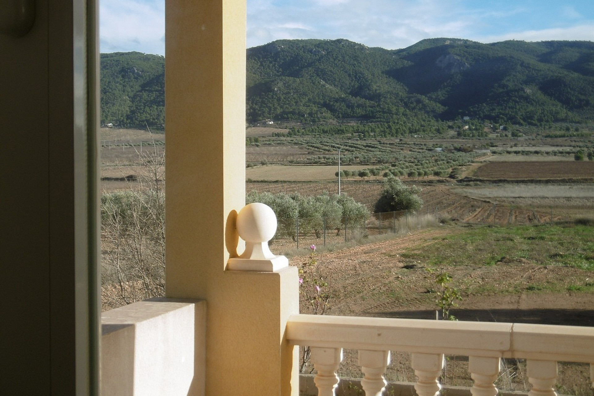 Resale - Finca / Country Property -
Yecla