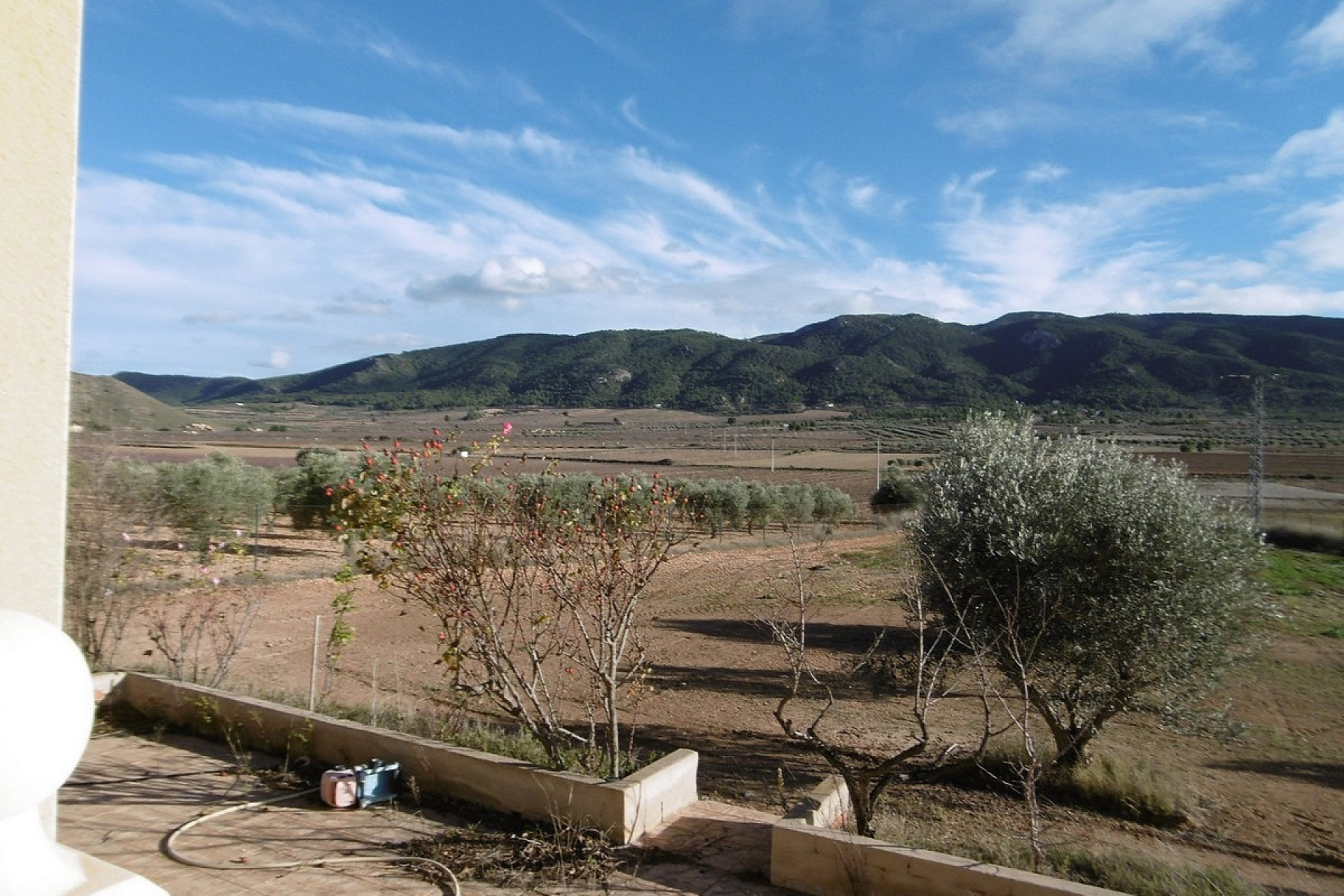 Resale - Finca / Country Property -
Yecla